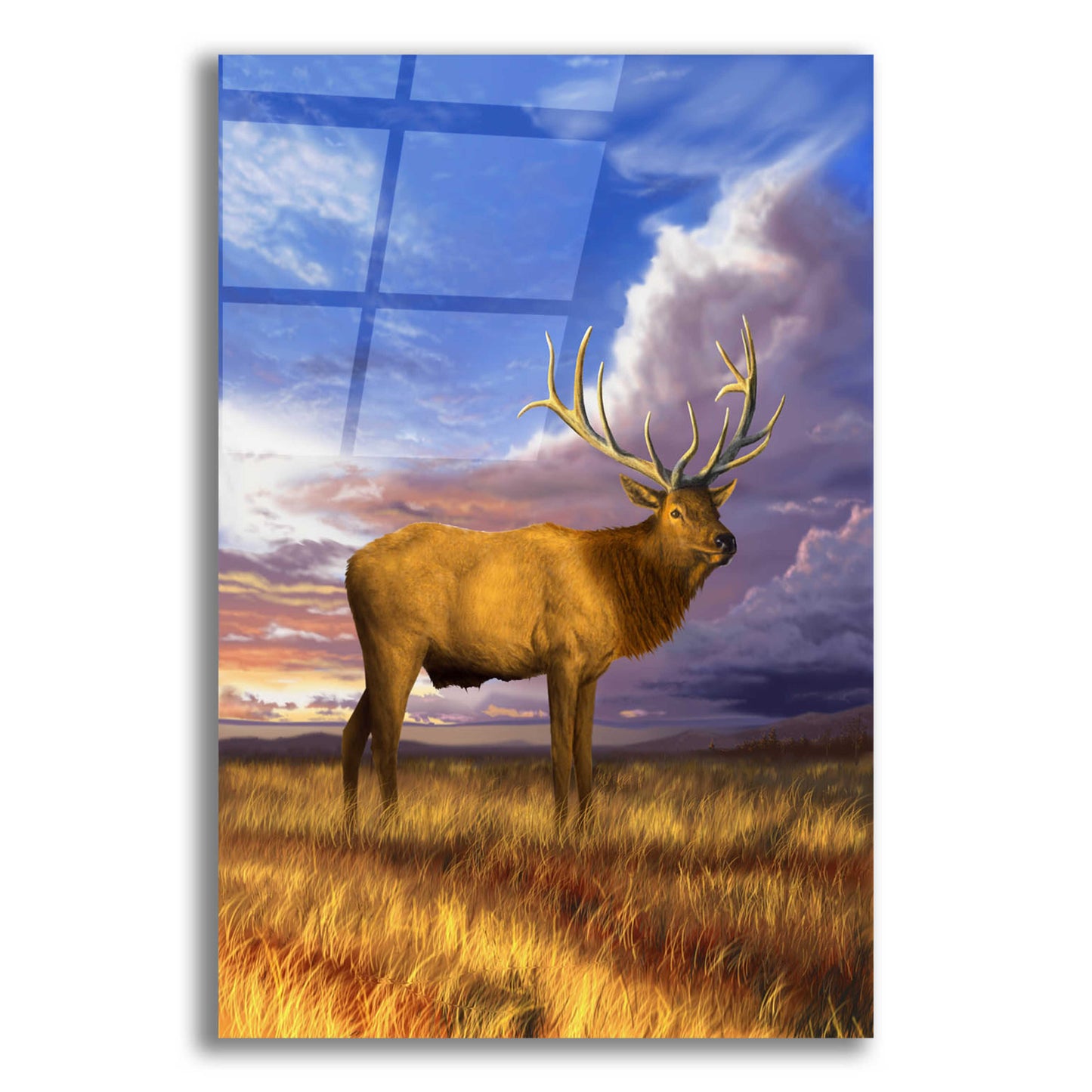 Epic Art 'Elk at Sunset' by Chris Dobrowolski, Acrylic Glass Wall Art