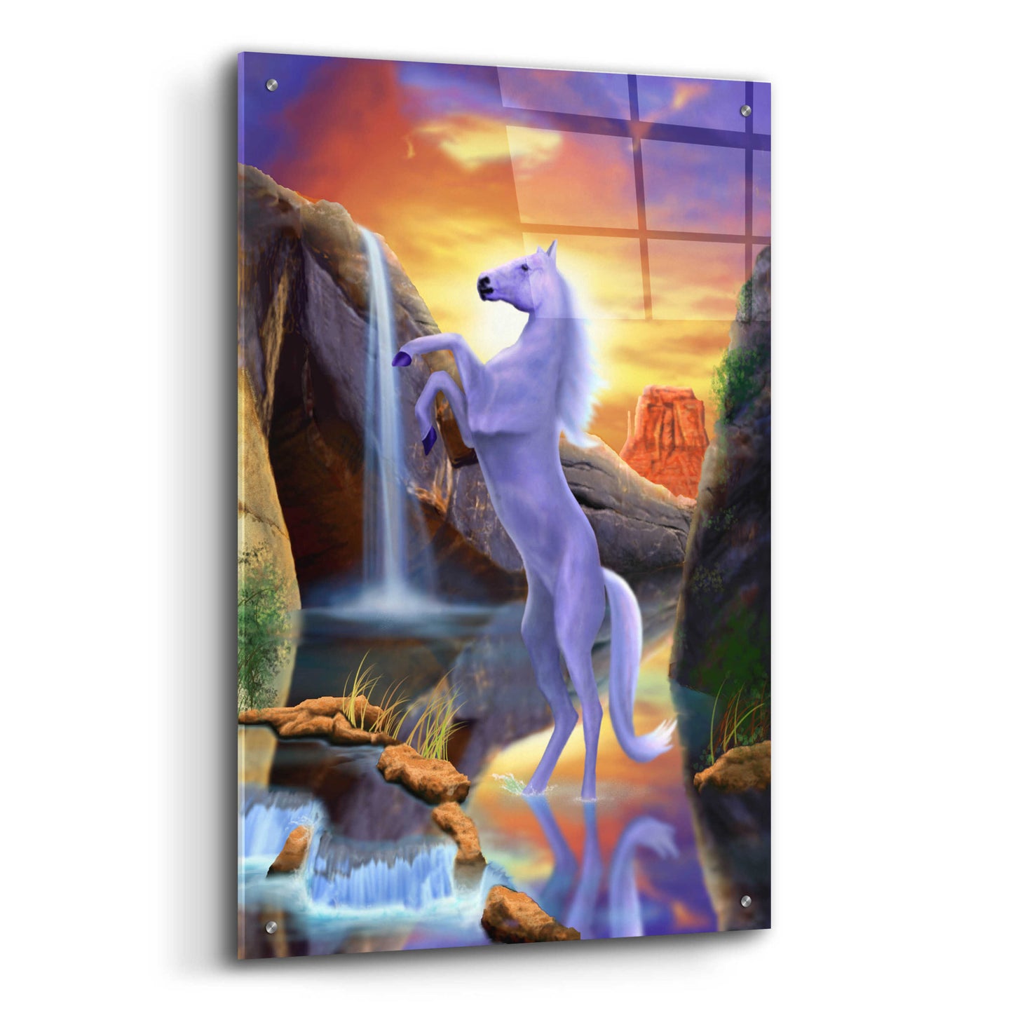 Epic Art 'Desert Horse' by Chris Dobrowolski, Acrylic Glass Wall Art,24x36