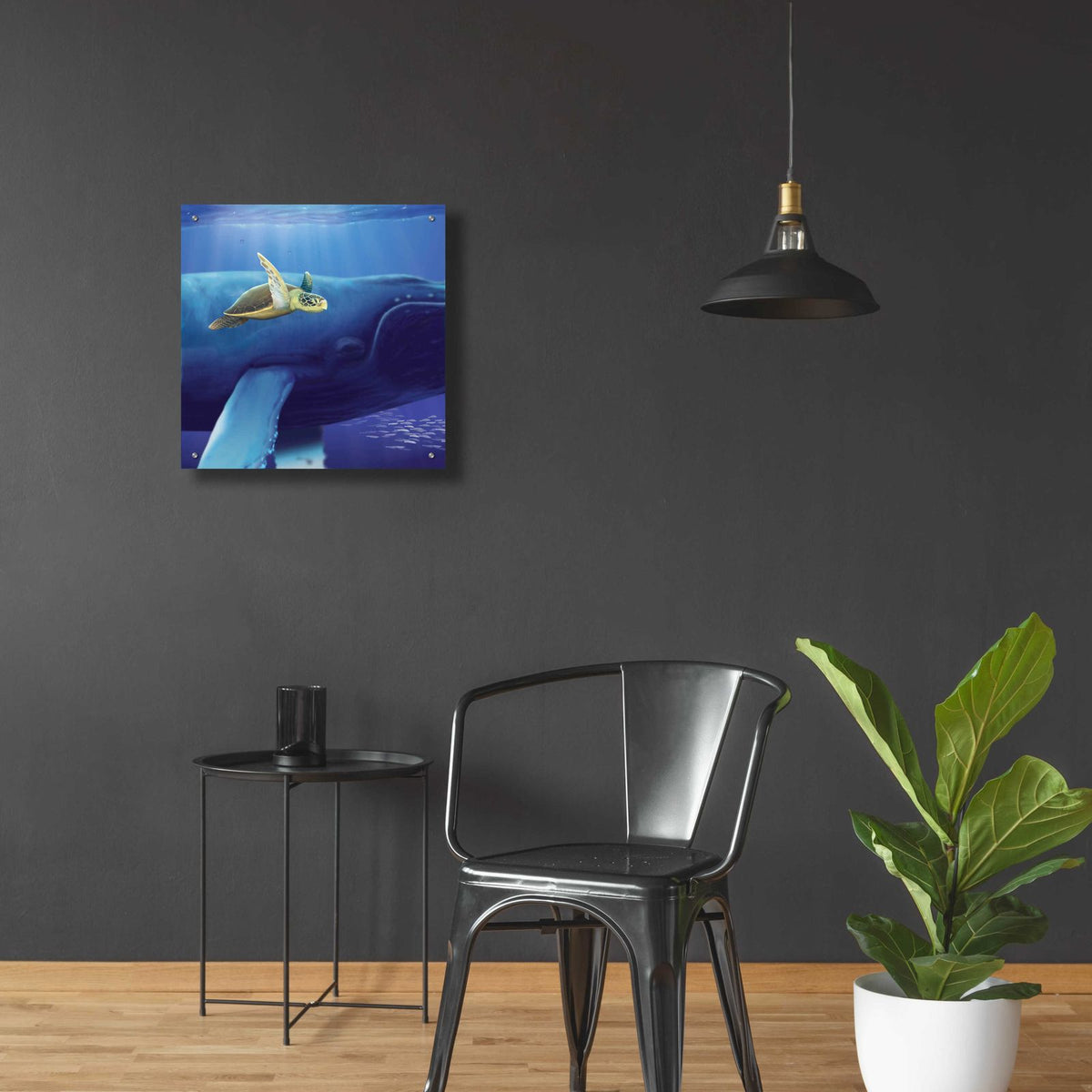 Epic Art 'Sea Turtle and Friend' by Chris Dobrowolski, Acrylic Glass Wall Art,24x24