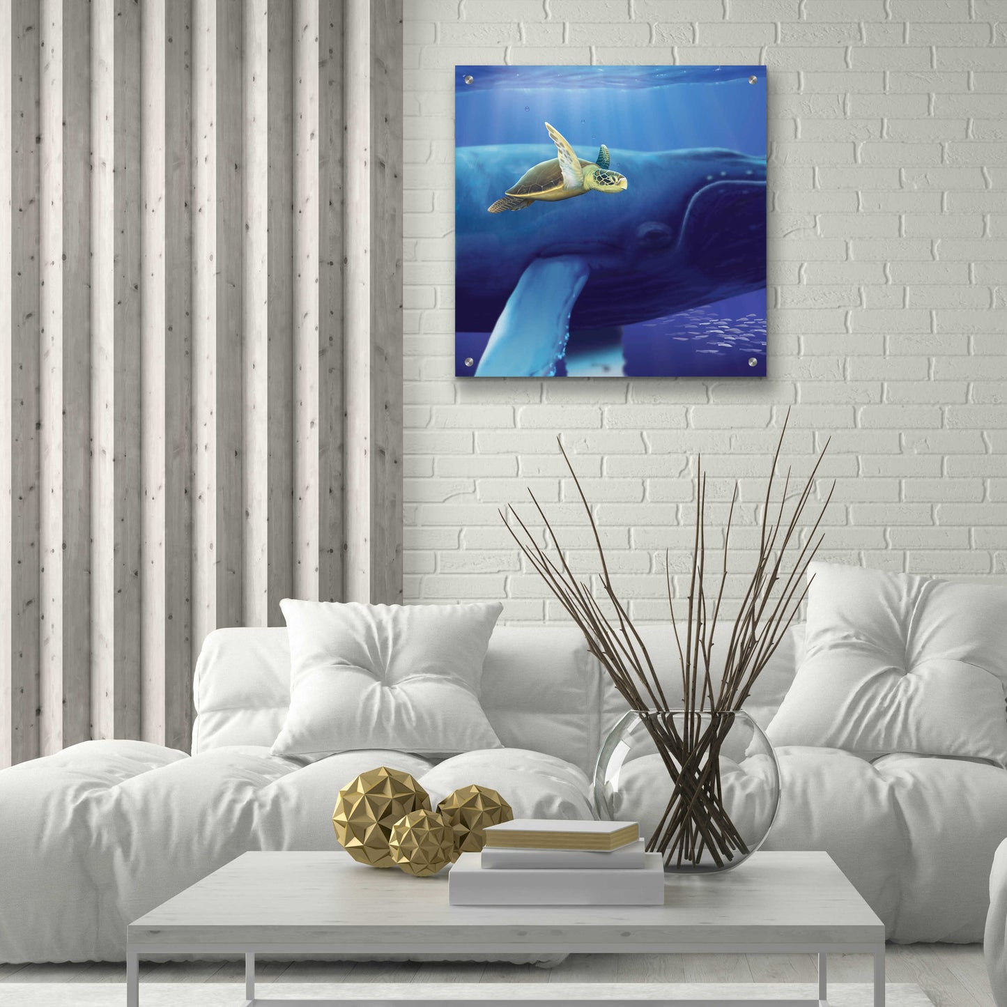 Epic Art 'Sea Turtle and Friend' by Chris Dobrowolski, Acrylic Glass Wall Art,24x24