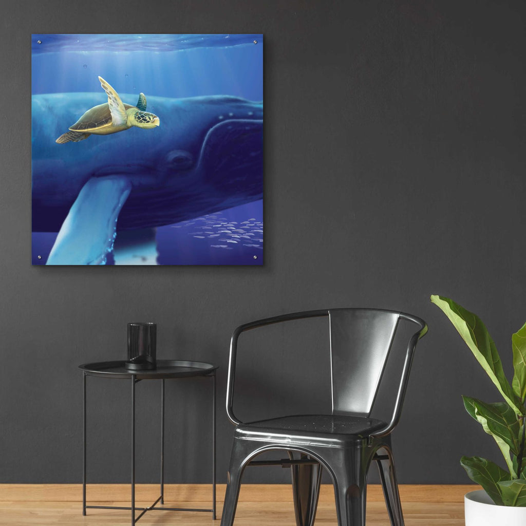 Epic Art 'Sea Turtle and Friend' by Chris Dobrowolski, Acrylic Glass Wall Art,36x36