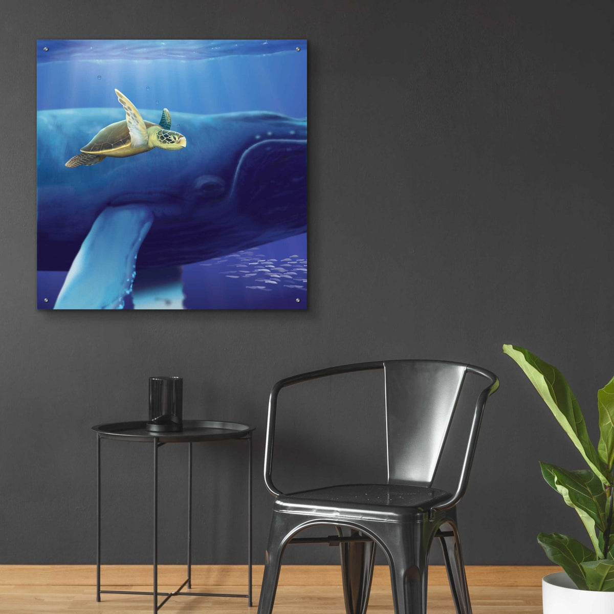 Epic Art 'Sea Turtle and Friend' by Chris Dobrowolski, Acrylic Glass Wall Art,36x36