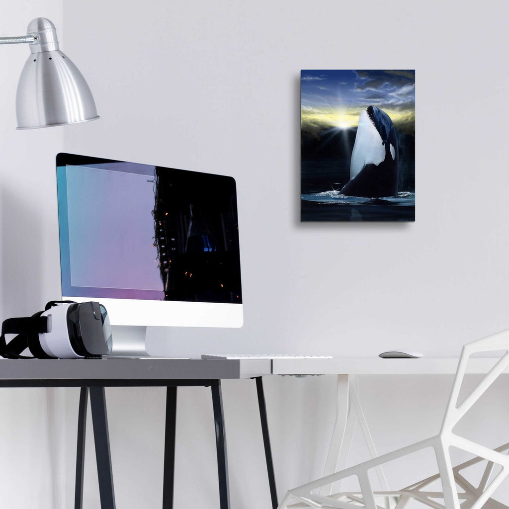 Orca Sunset by Chris Dobrowolski - 12x16 acrylic wall art in a room