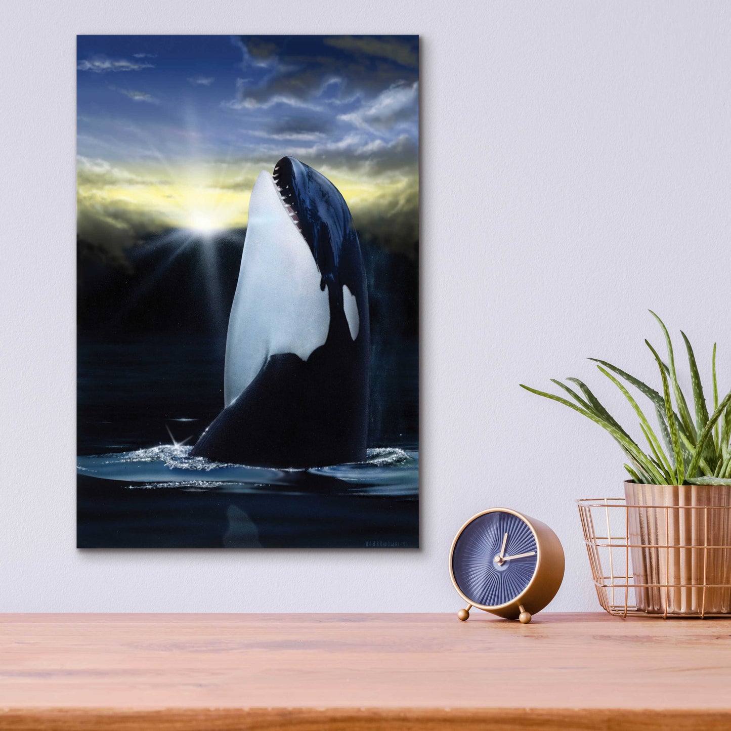 Epic Art 'Orca Sunset' by Chris Dobrowolski, Acrylic Glass Wall Art,12x16