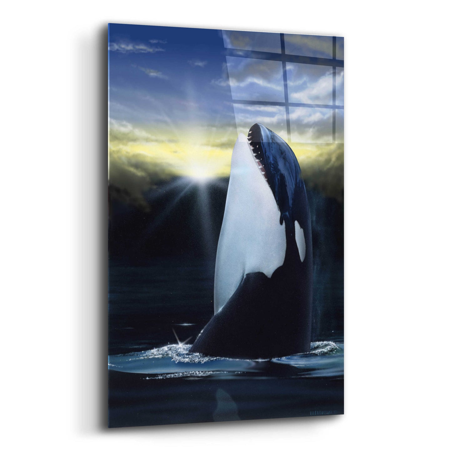 Epic Art 'Orca Sunset' by Chris Dobrowolski, Acrylic Glass Wall Art,16x24