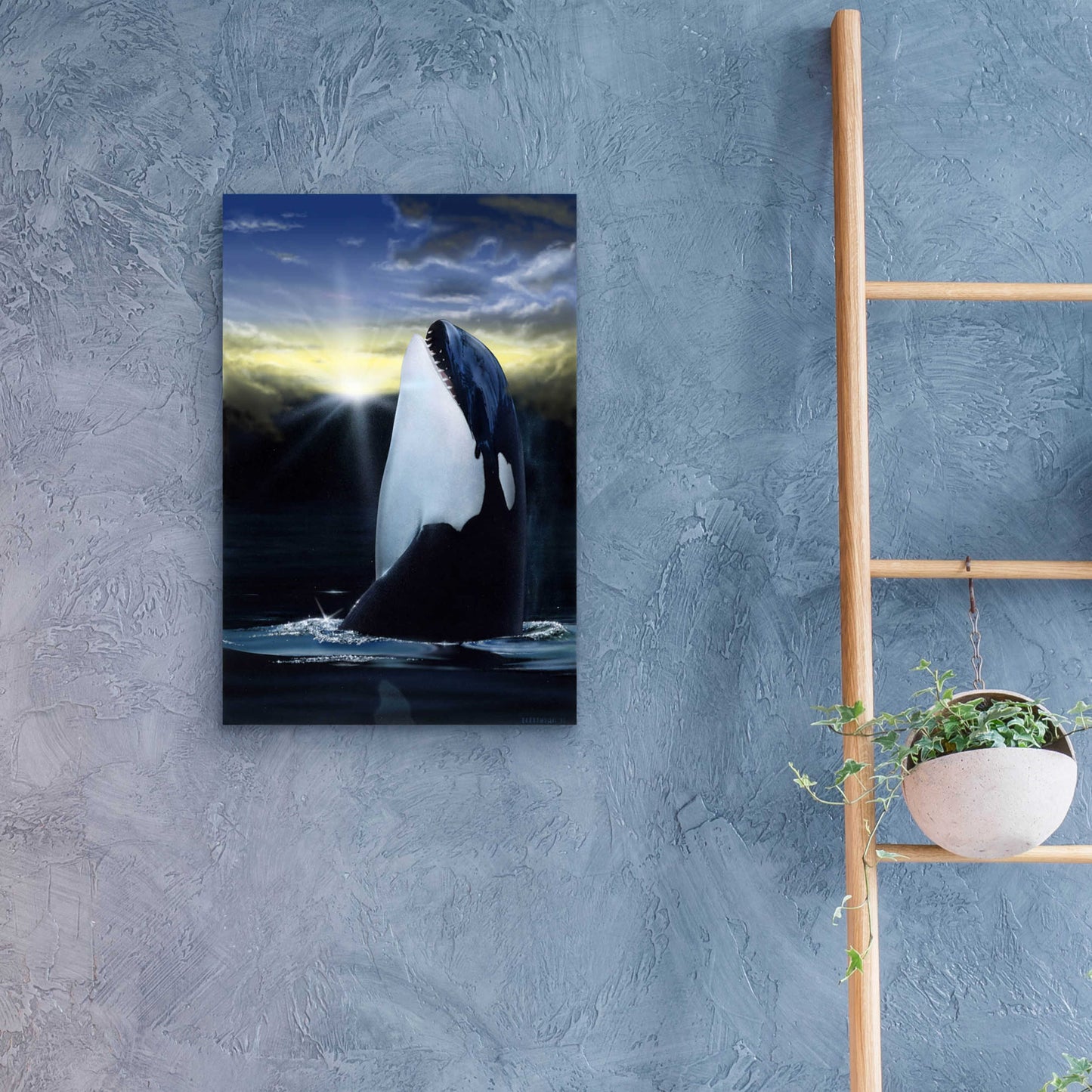 Epic Art 'Orca Sunset' by Chris Dobrowolski, Acrylic Glass Wall Art,16x24