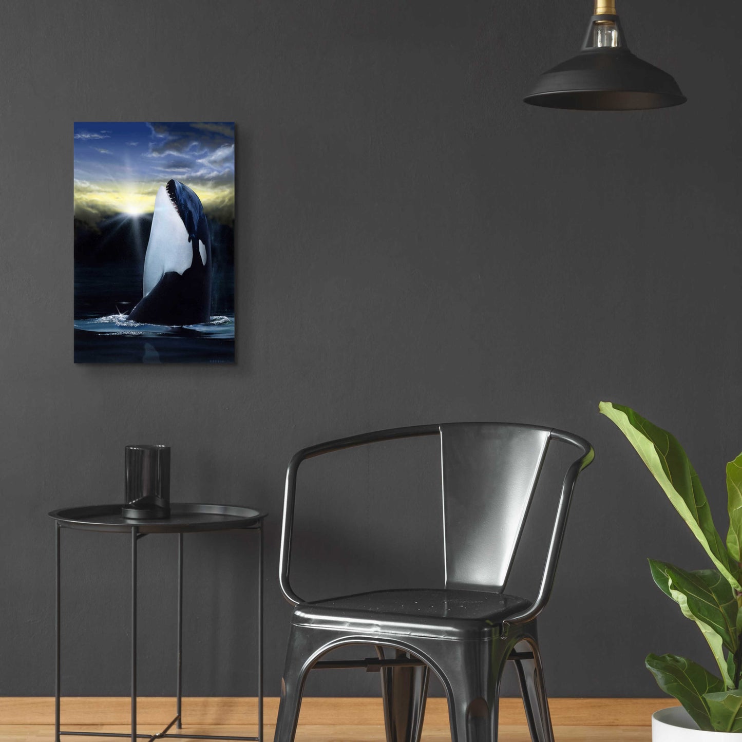 Epic Art 'Orca Sunset' by Chris Dobrowolski, Acrylic Glass Wall Art,16x24