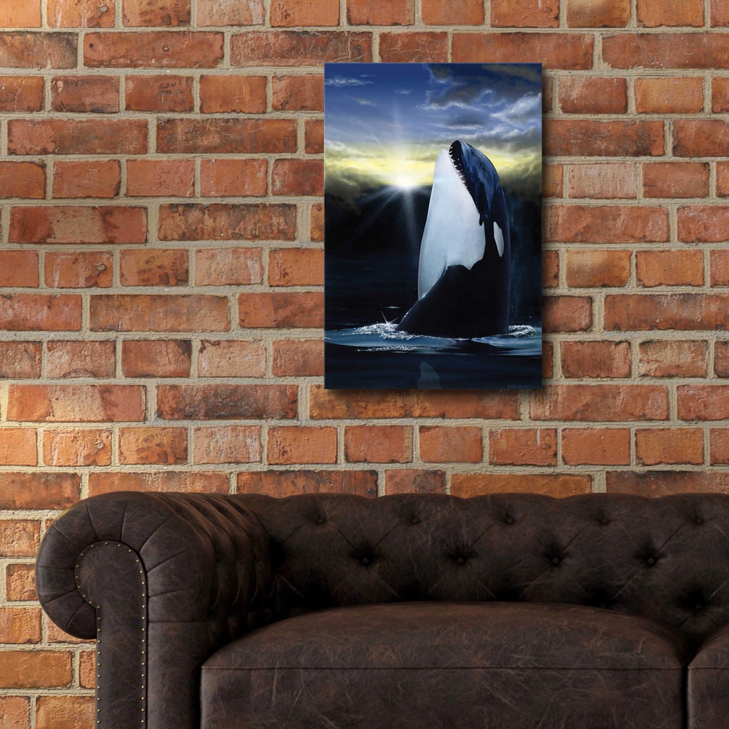 Epic Art 'Orca Sunset' by Chris Dobrowolski, Acrylic Glass Wall Art,16x24