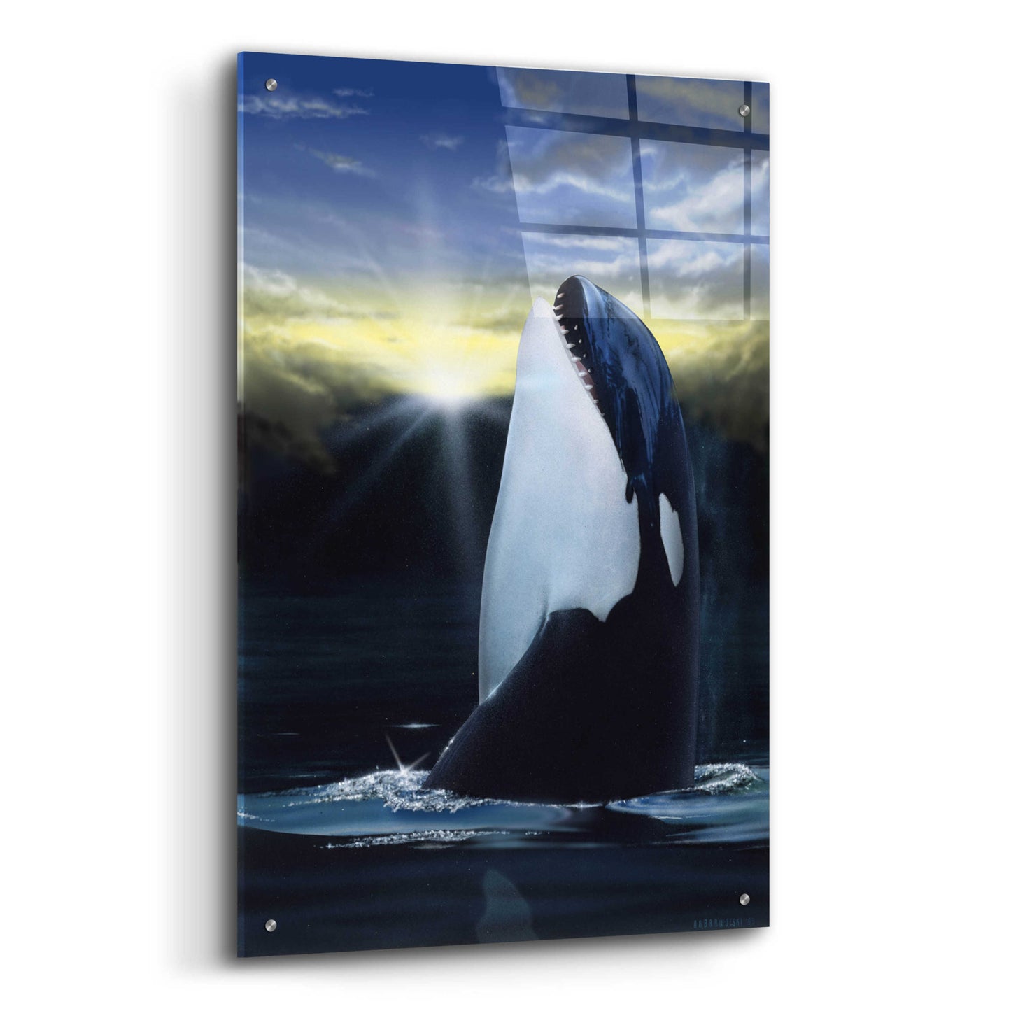 Epic Art 'Orca Sunset' by Chris Dobrowolski, Acrylic Glass Wall Art,24x36