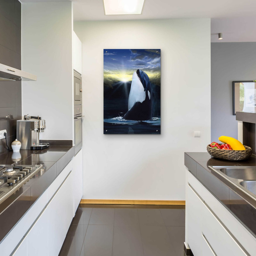 Orca Sunset by Chris Dobrowolski - 24x36 acrylic wall art in a room
