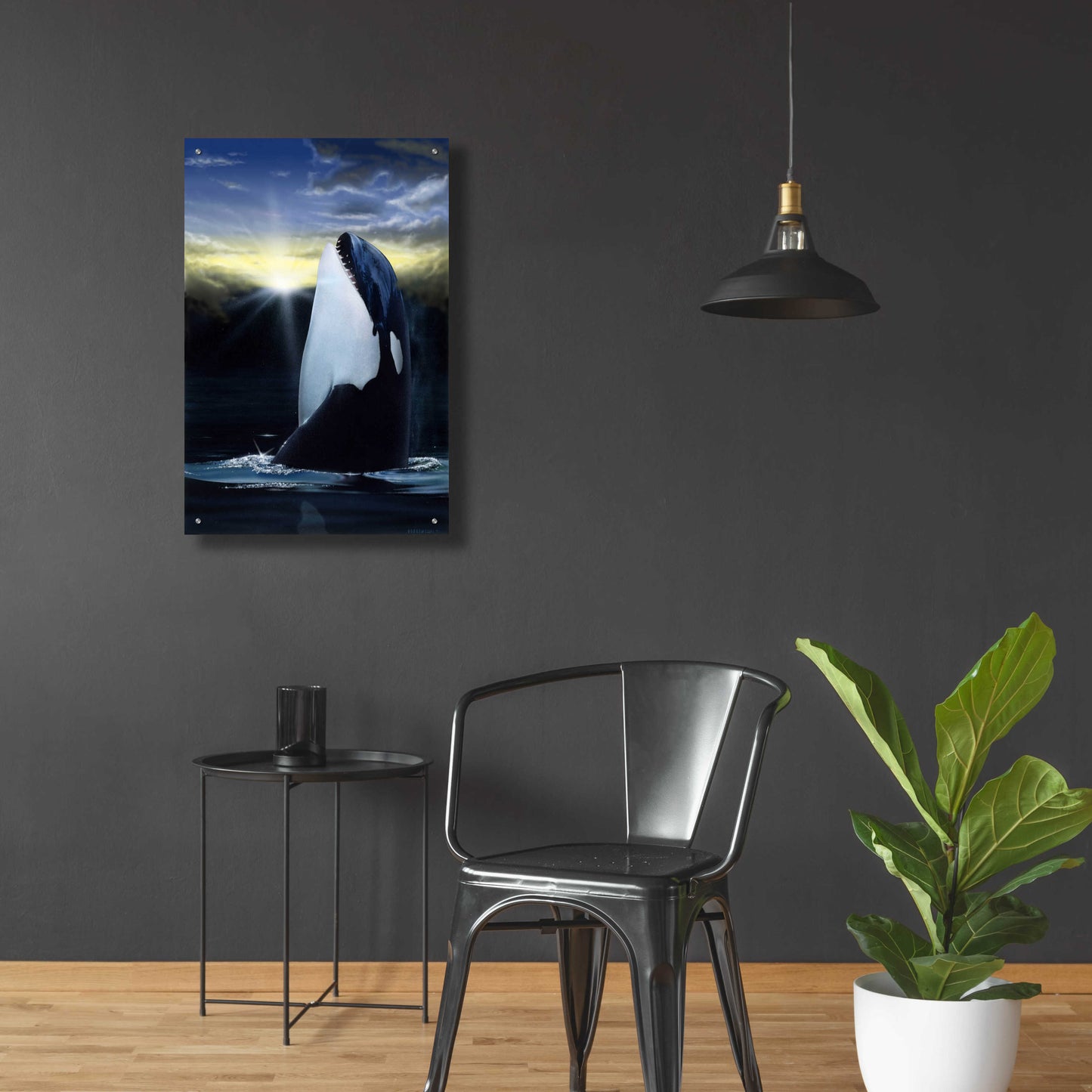 Epic Art 'Orca Sunset' by Chris Dobrowolski, Acrylic Glass Wall Art,24x36