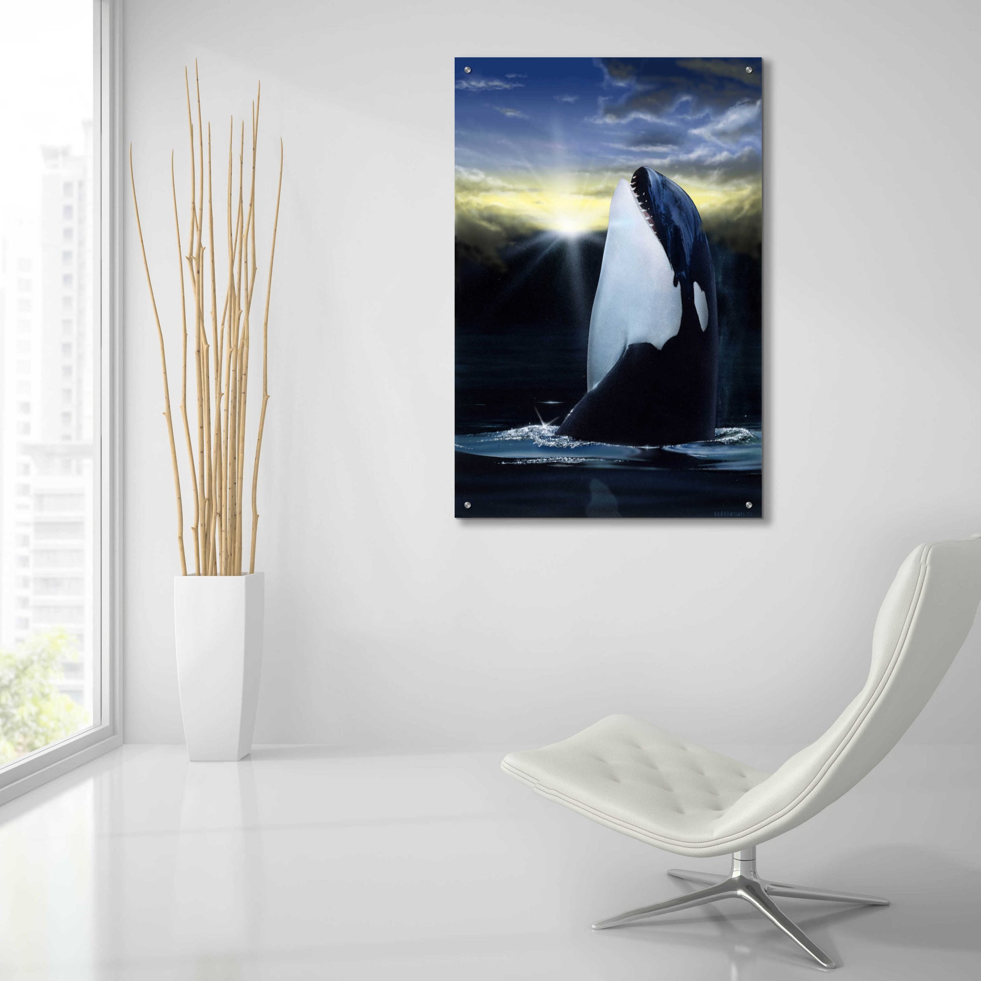 Epic Art 'Orca Sunset' by Chris Dobrowolski, Acrylic Glass Wall Art,24x36