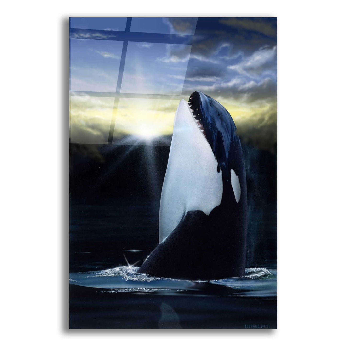 Epic Art 'Orca Sunset' by Chris Dobrowolski, Acrylic Glass Wall Art