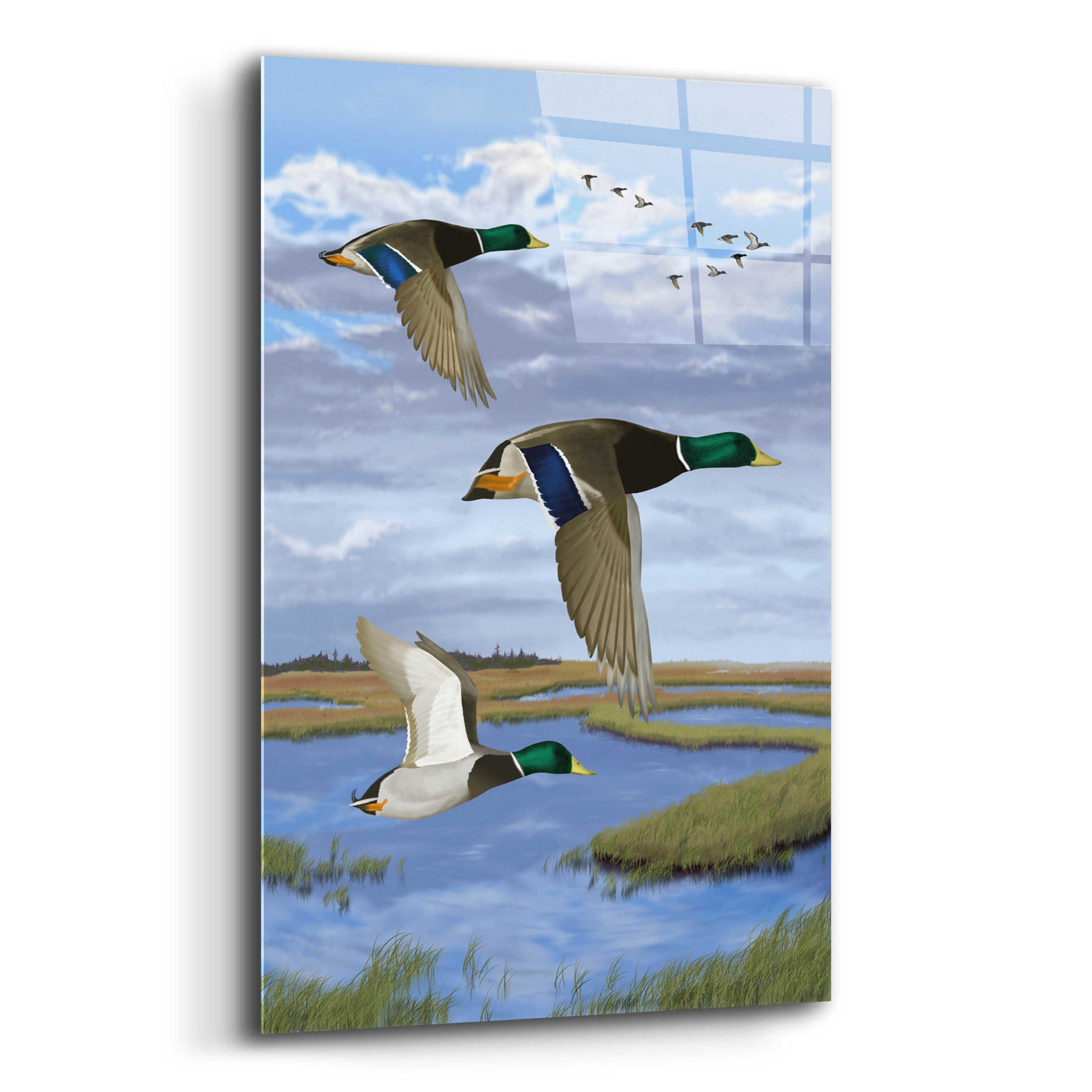 Epic Art 'Salt Marsh Mallards' by Chris Dobrowolski, Acrylic Glass Wall Art,12x16