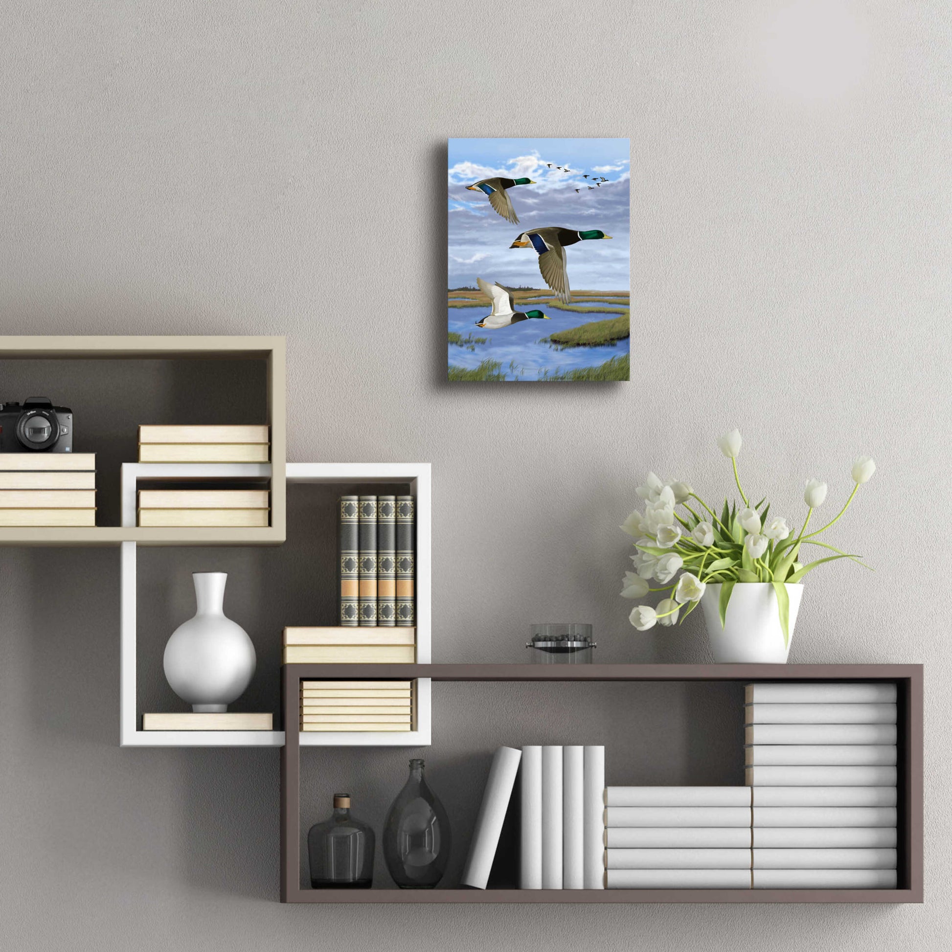 Epic Art 'Salt Marsh Mallards' by Chris Dobrowolski, Acrylic Glass Wall Art,12x16