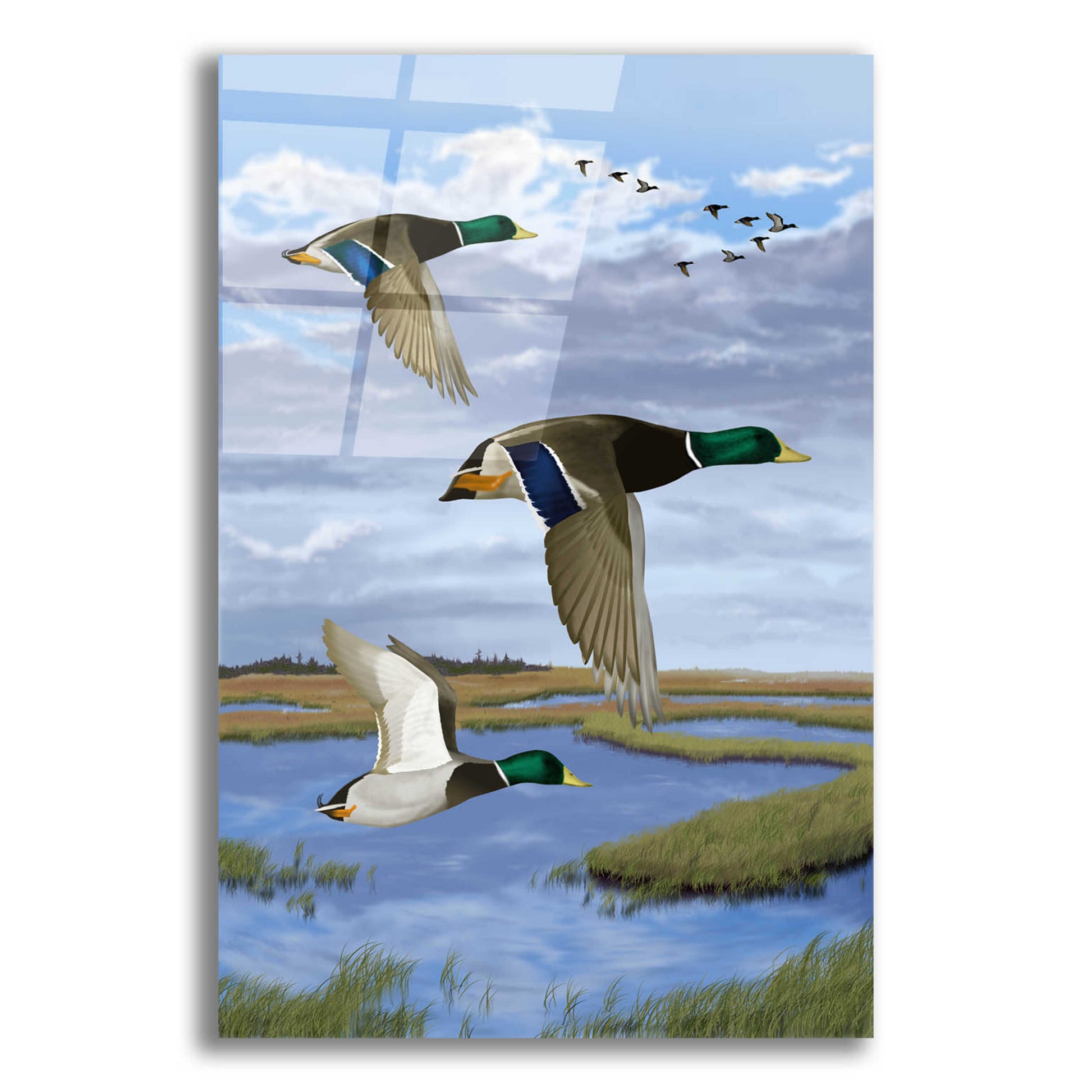 Epic Art 'Salt Marsh Mallards' by Chris Dobrowolski, Acrylic Glass Wall Art