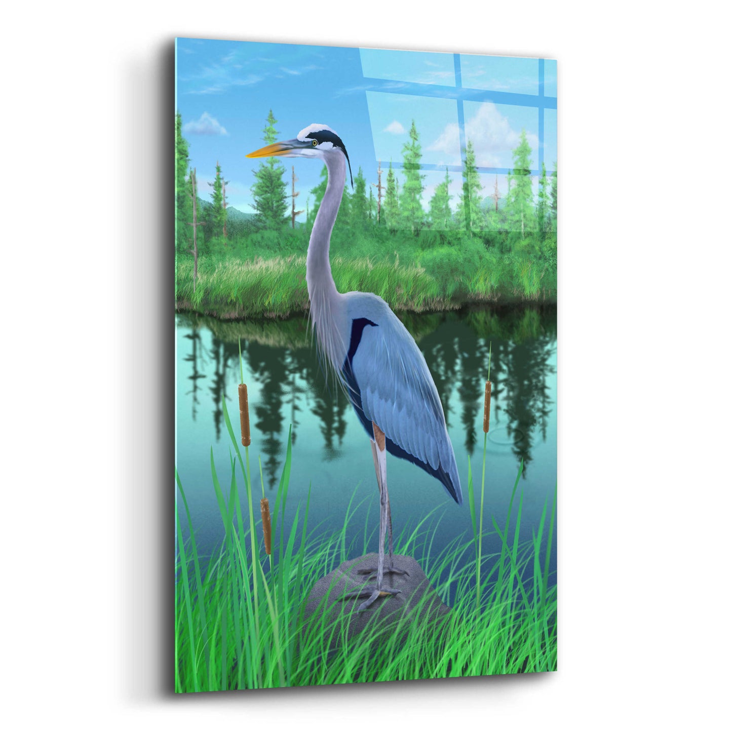 Epic Art 'Marsh Heron' by Chris Dobrowolski, Acrylic Glass Wall Art,12x16