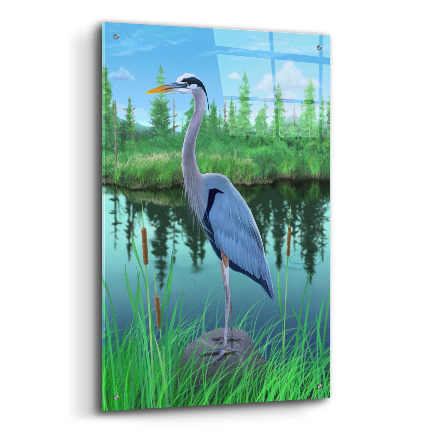 Epic Art 'Marsh Heron' by Chris Dobrowolski, Acrylic Glass Wall Art,24x36