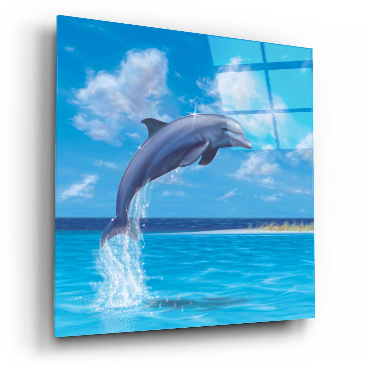 Epic Art 'Blue Water Dolphin' by Chris Dobrowolski, Acrylic Glass Wall Art,12x12