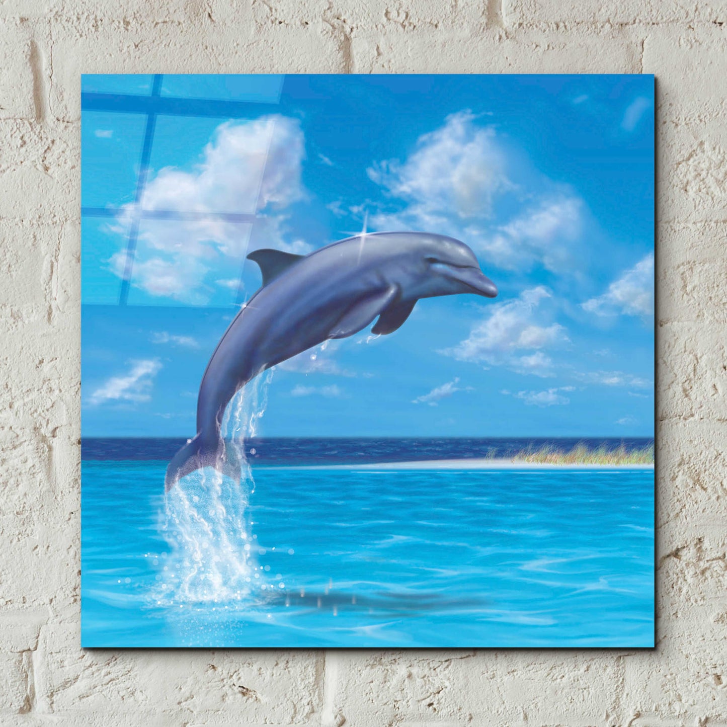 Epic Art 'Blue Water Dolphin' by Chris Dobrowolski, Acrylic Glass Wall Art,12x12