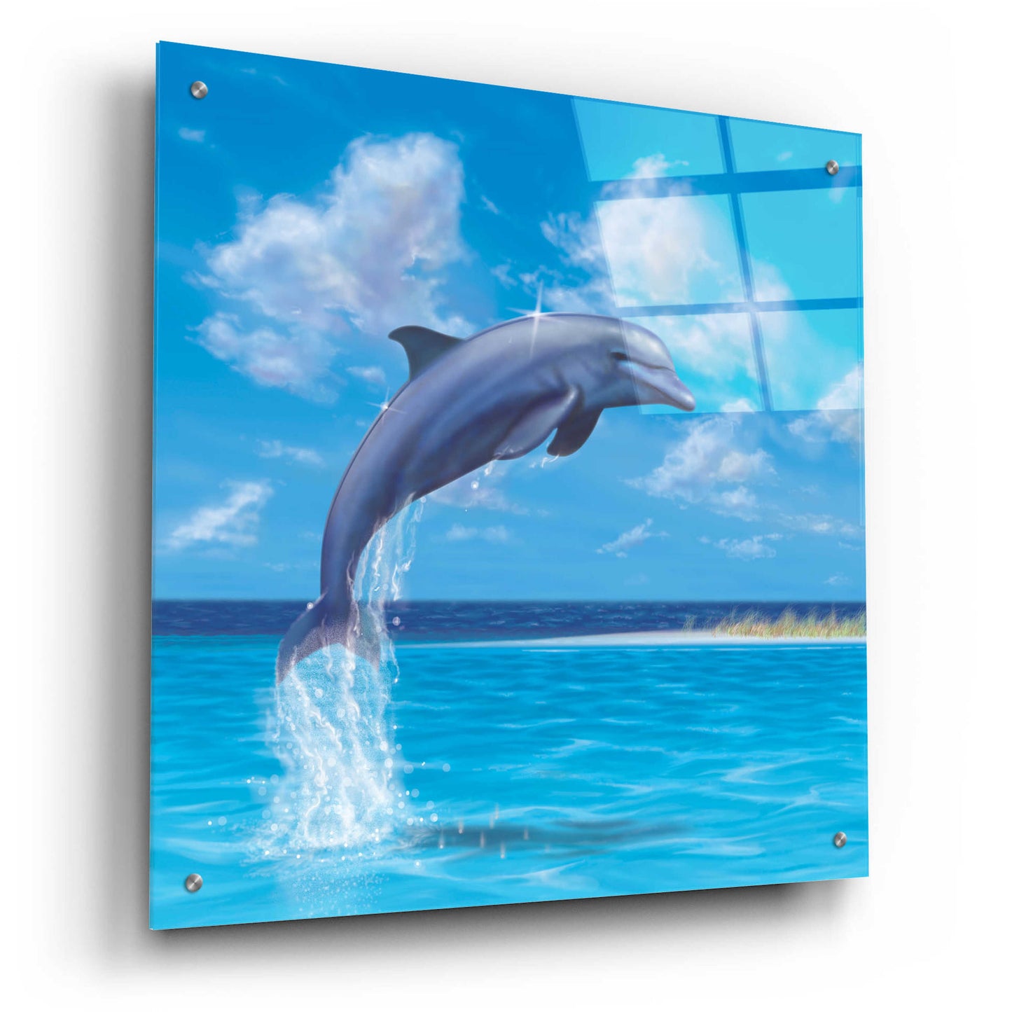 Epic Art 'Blue Water Dolphin' by Chris Dobrowolski, Acrylic Glass Wall Art,24x24