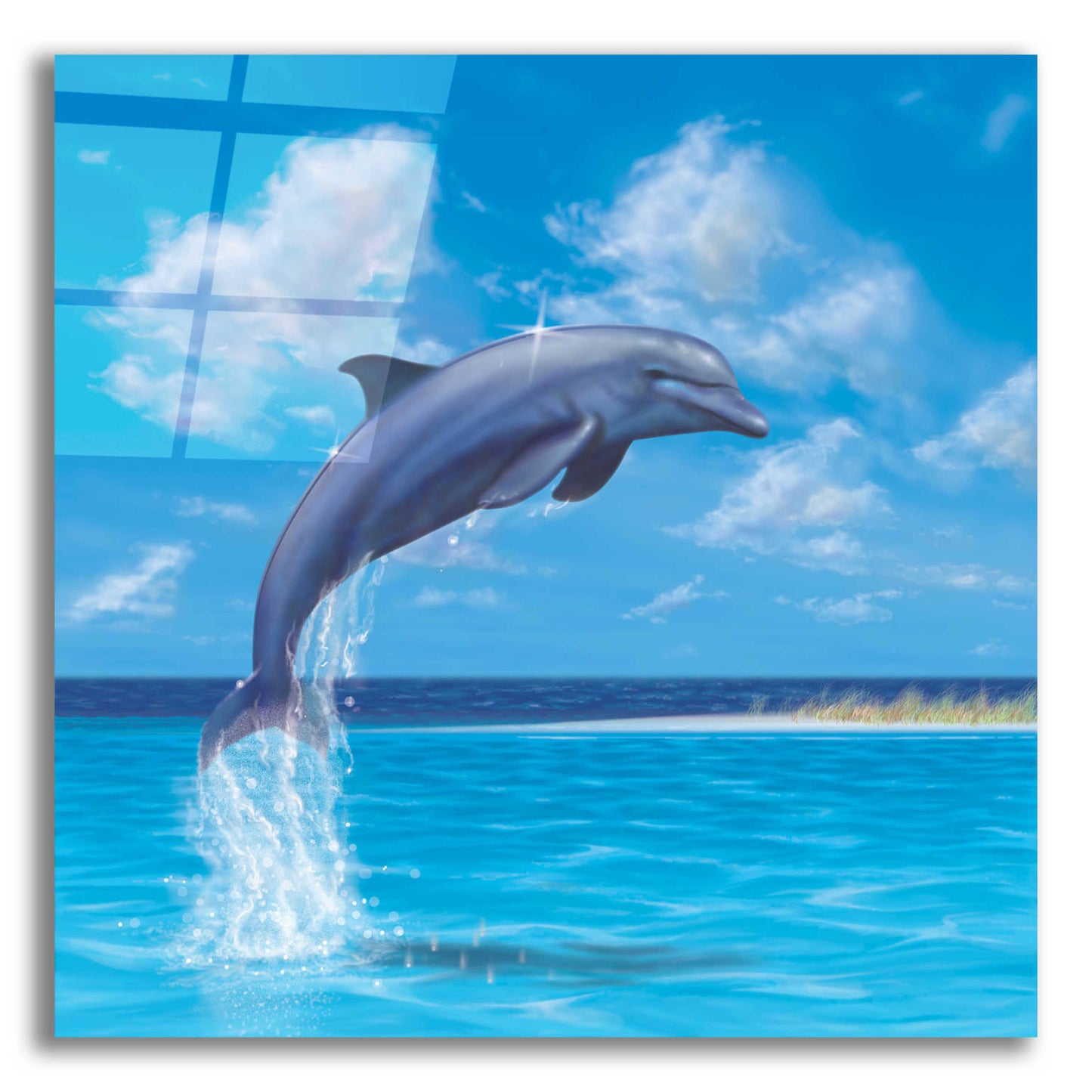 Epic Art 'Blue Water Dolphin' by Chris Dobrowolski, Acrylic Glass Wall Art