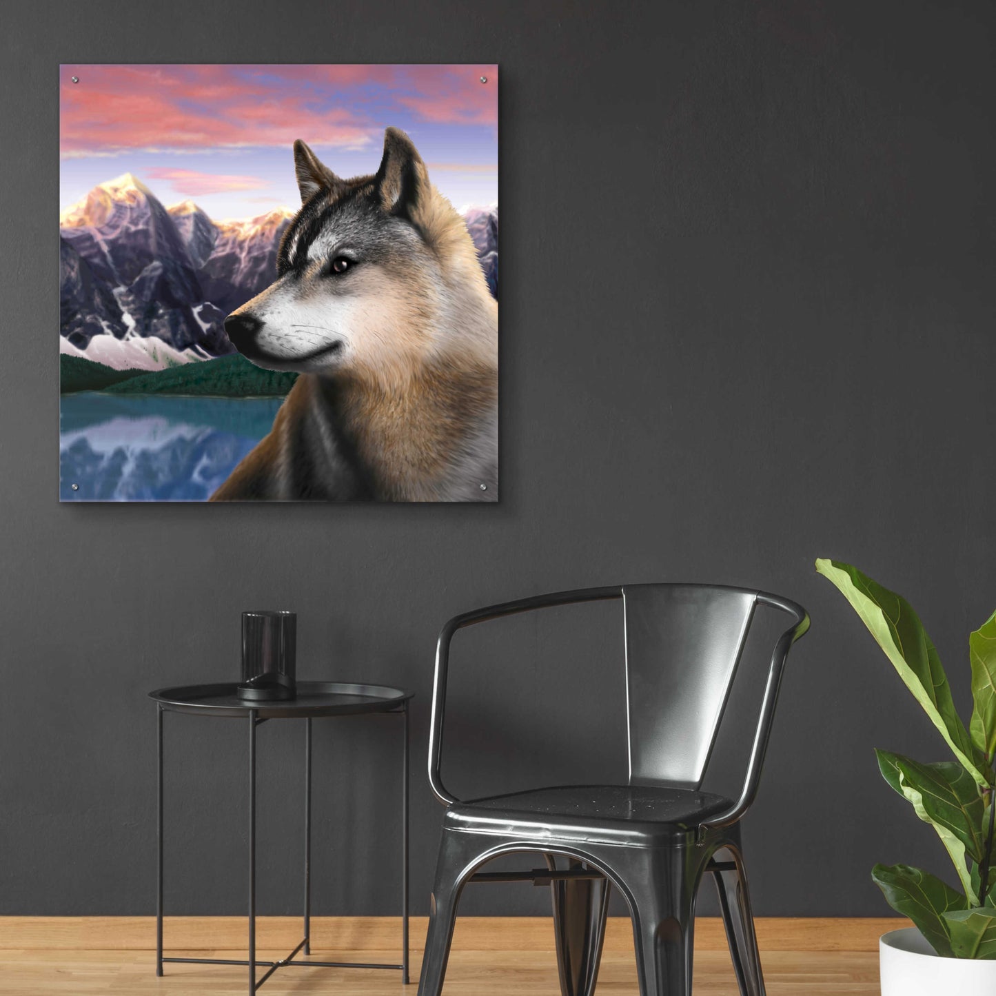 Epic Art 'Rockies Wolf' by Chris Dobrowolski, Acrylic Glass Wall Art,36x36