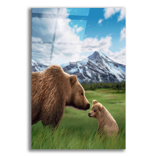 Epic Art 'Mother and Cub' by Chris Dobrowolski, Acrylic Glass Wall Art