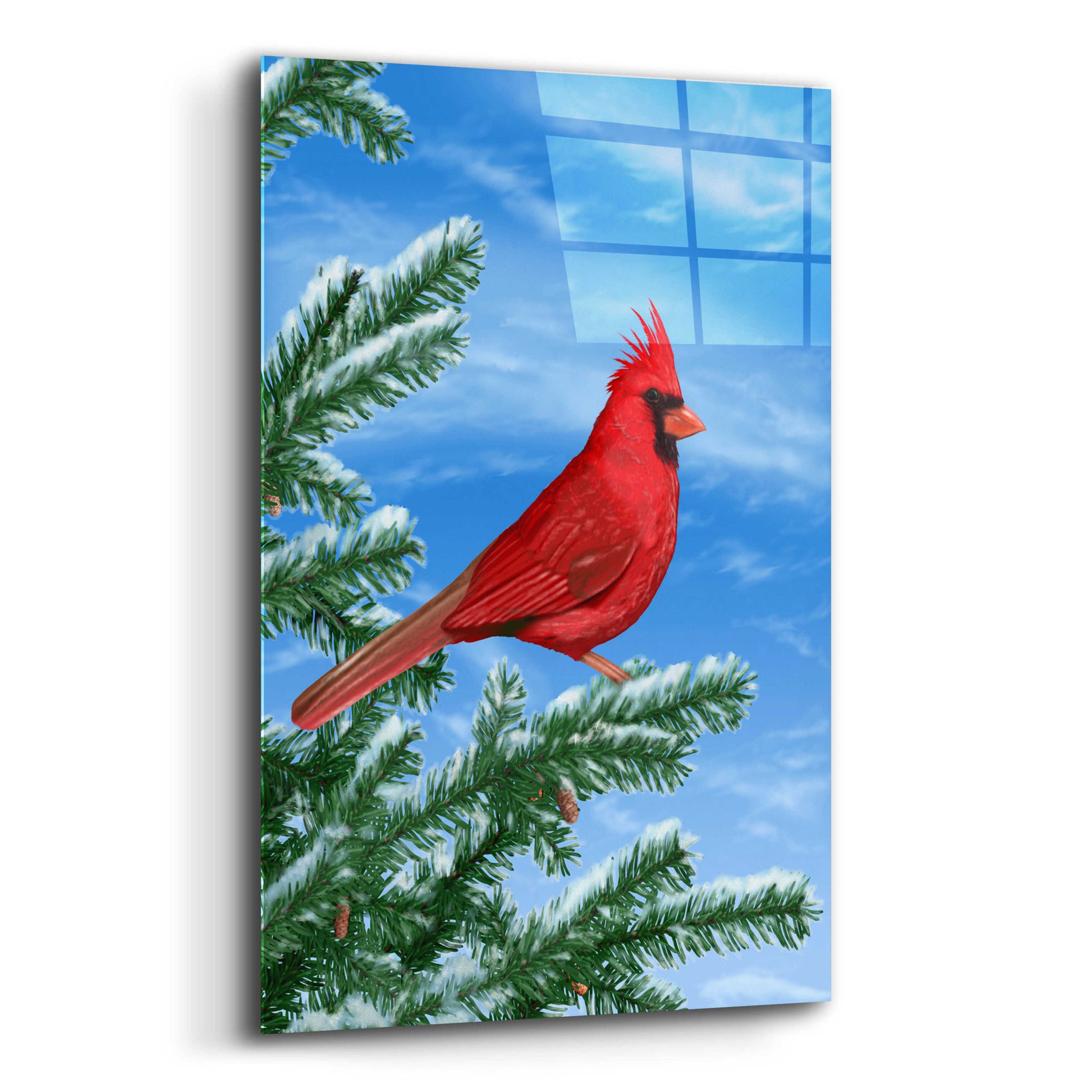 Epic Art 'Winter Cardinal' by Chris Dobrowolski, Acrylic Glass Wall Art,12x16