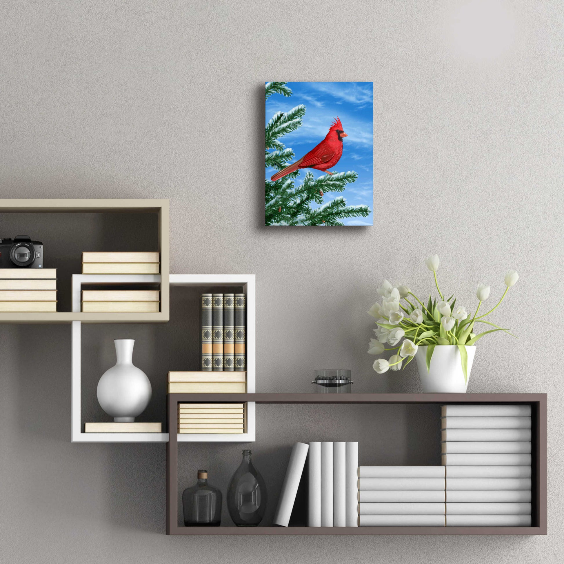 Epic Art 'Winter Cardinal' by Chris Dobrowolski, Acrylic Glass Wall Art,12x16