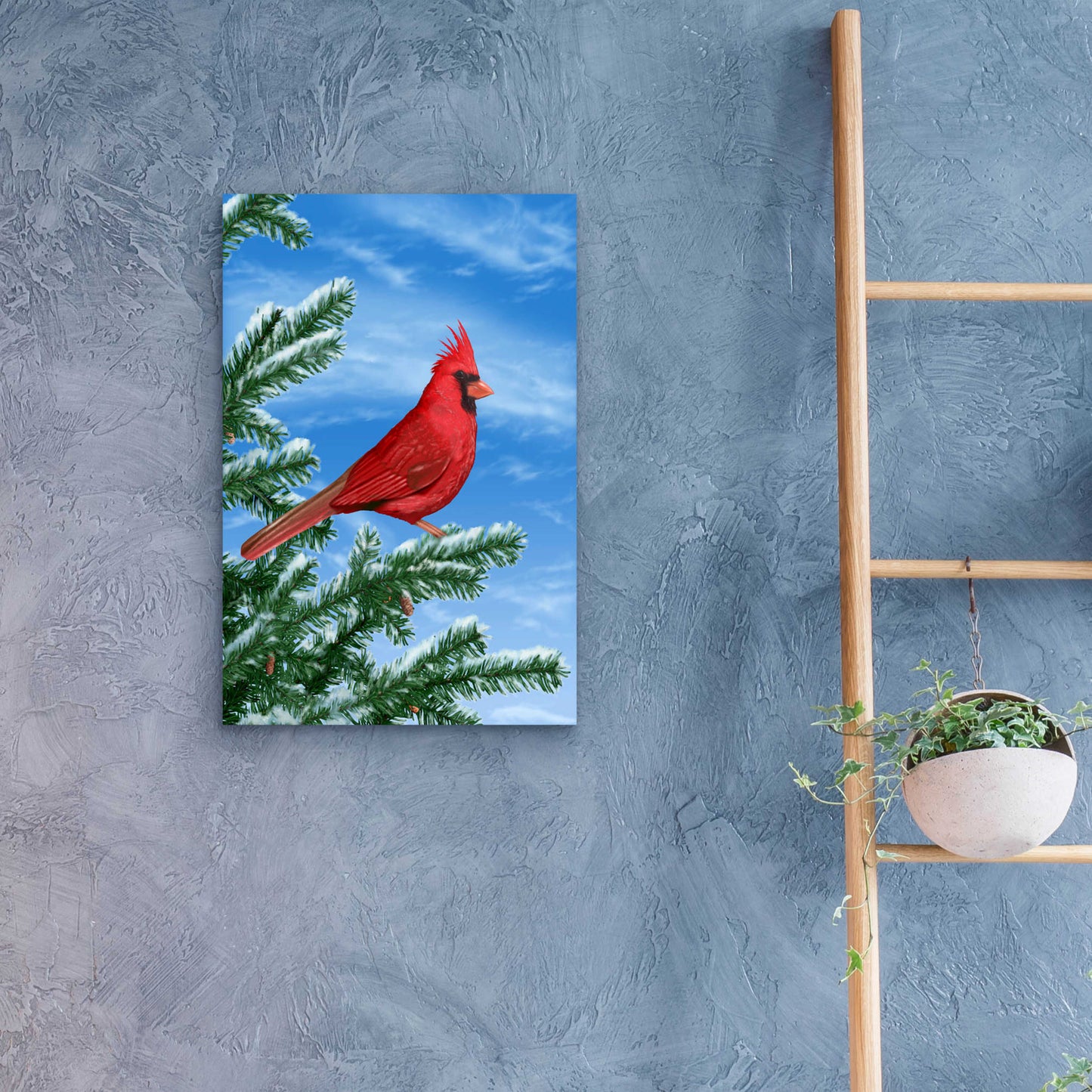 Epic Art 'Winter Cardinal' by Chris Dobrowolski, Acrylic Glass Wall Art,16x24