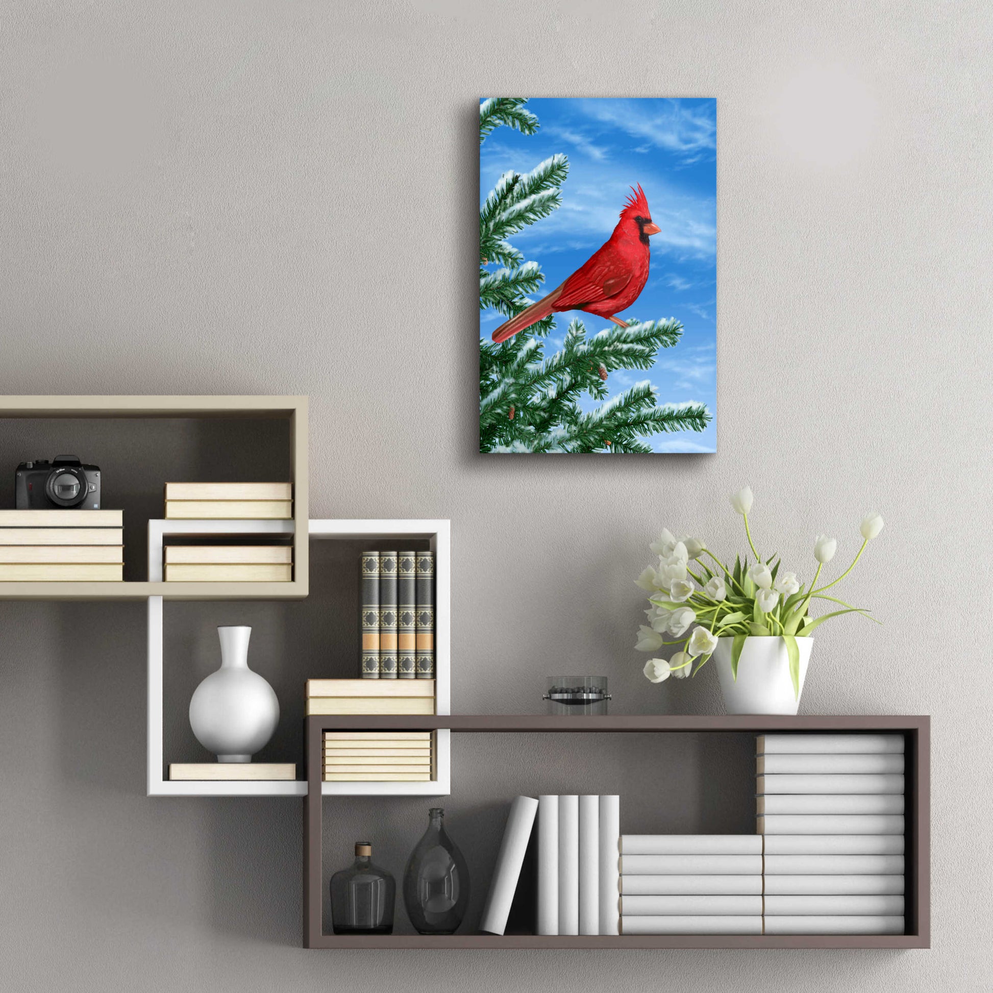 Epic Art 'Winter Cardinal' by Chris Dobrowolski, Acrylic Glass Wall Art,16x24