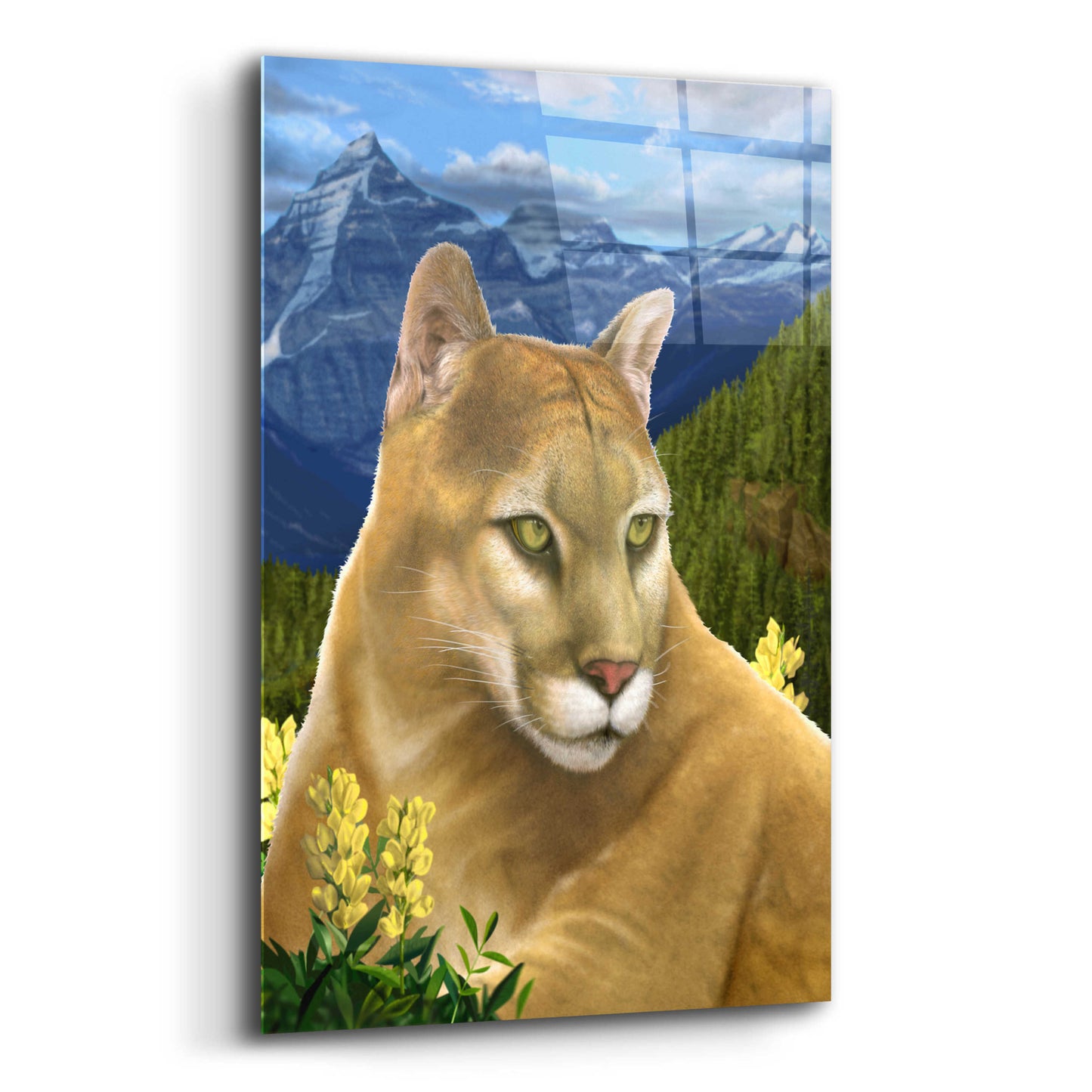 Epic Art 'Rockies Mountain Lion' by Chris Dobrowolski, Acrylic Glass Wall Art,12x16