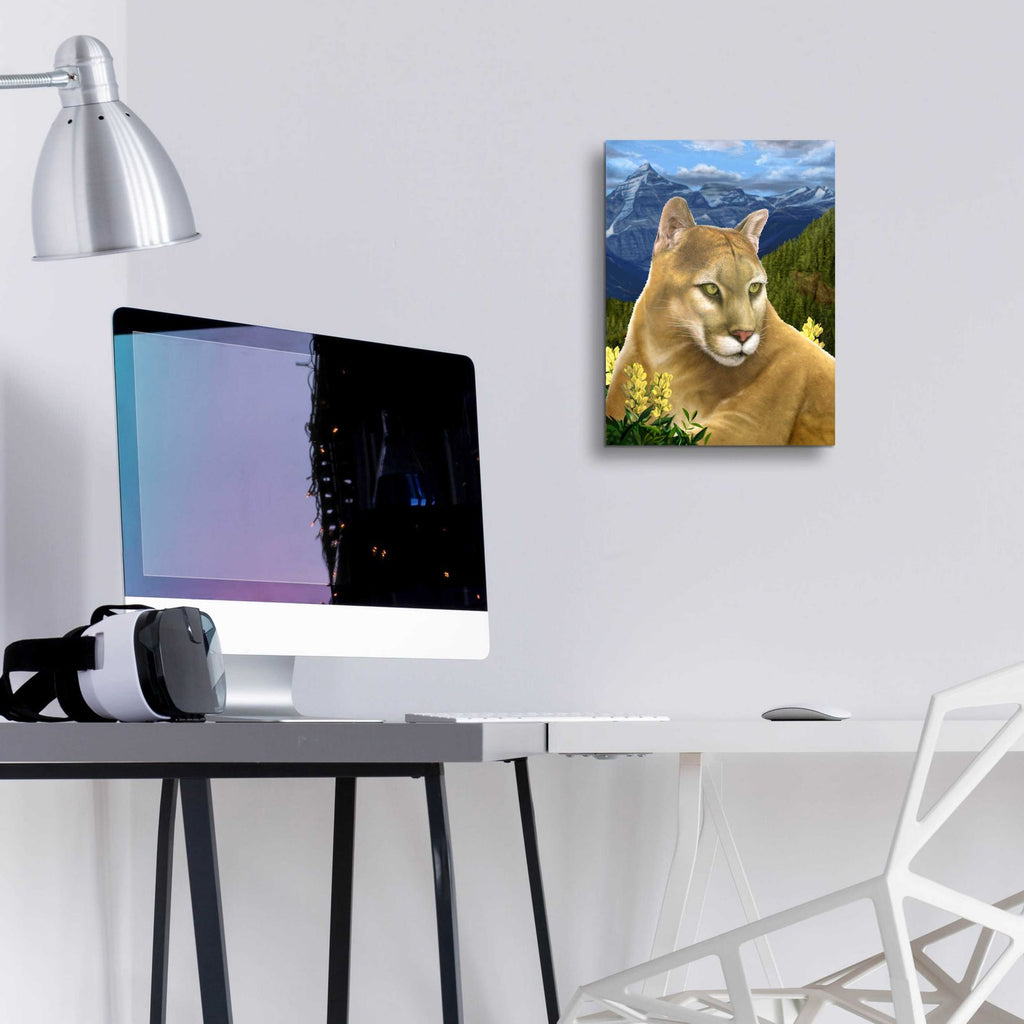Rockies Mountain Lion by Chris Dobrowolski - 12x16 acrylic wall art in a room