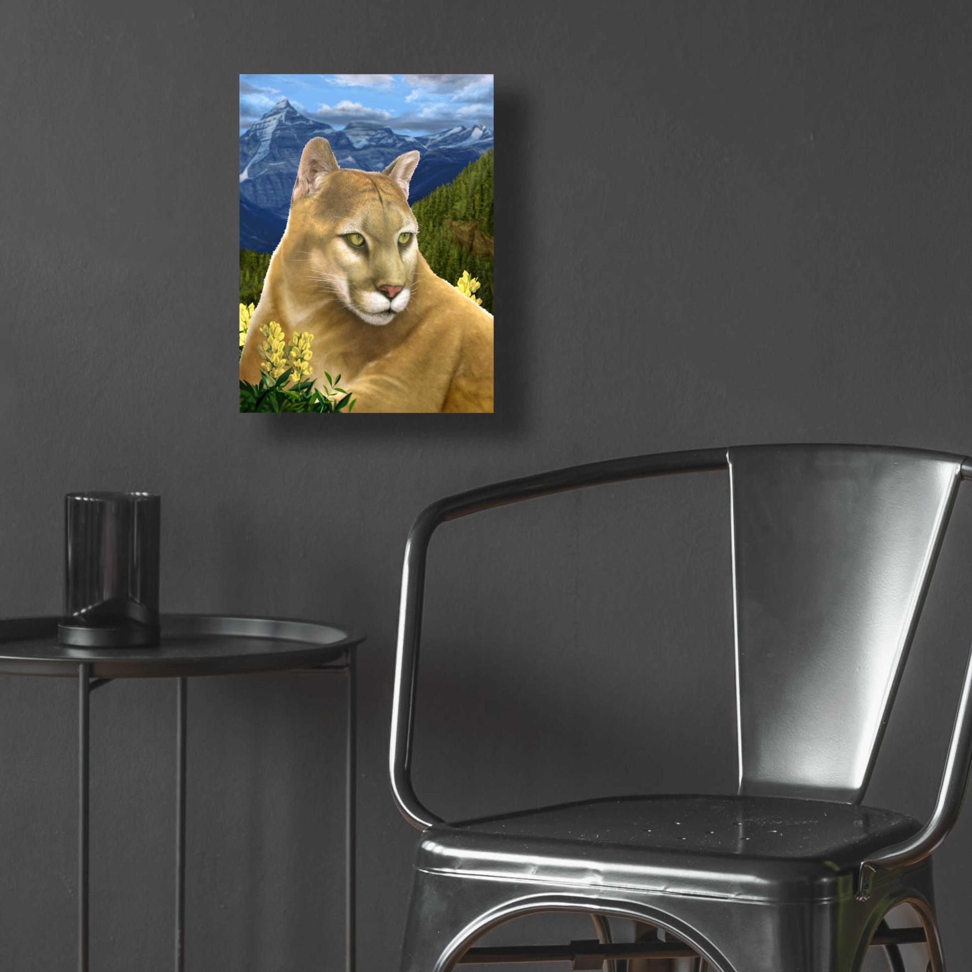 Epic Art 'Rockies Mountain Lion' by Chris Dobrowolski, Acrylic Glass Wall Art,12x16