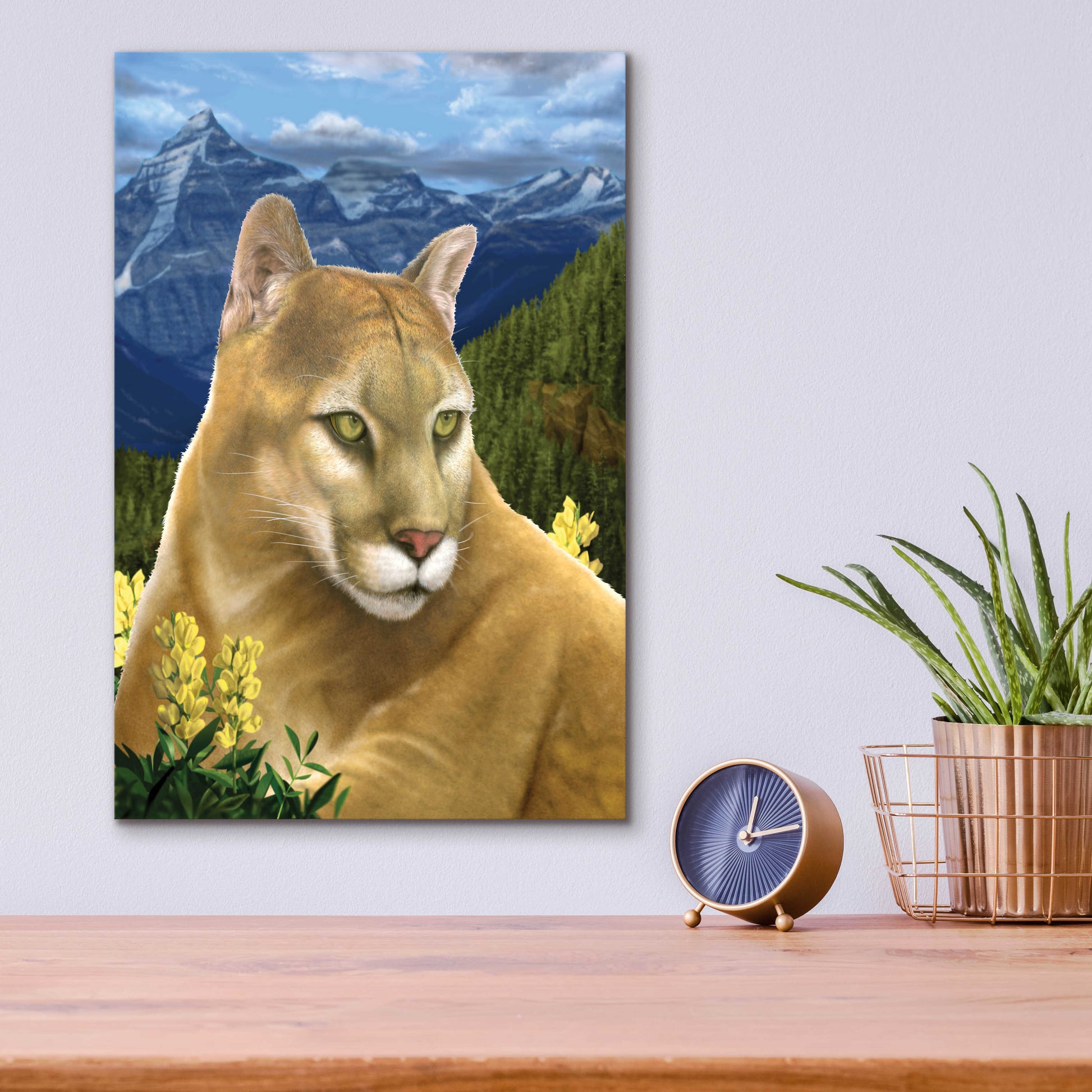 Epic Art 'Rockies Mountain Lion' by Chris Dobrowolski, Acrylic Glass Wall Art,12x16