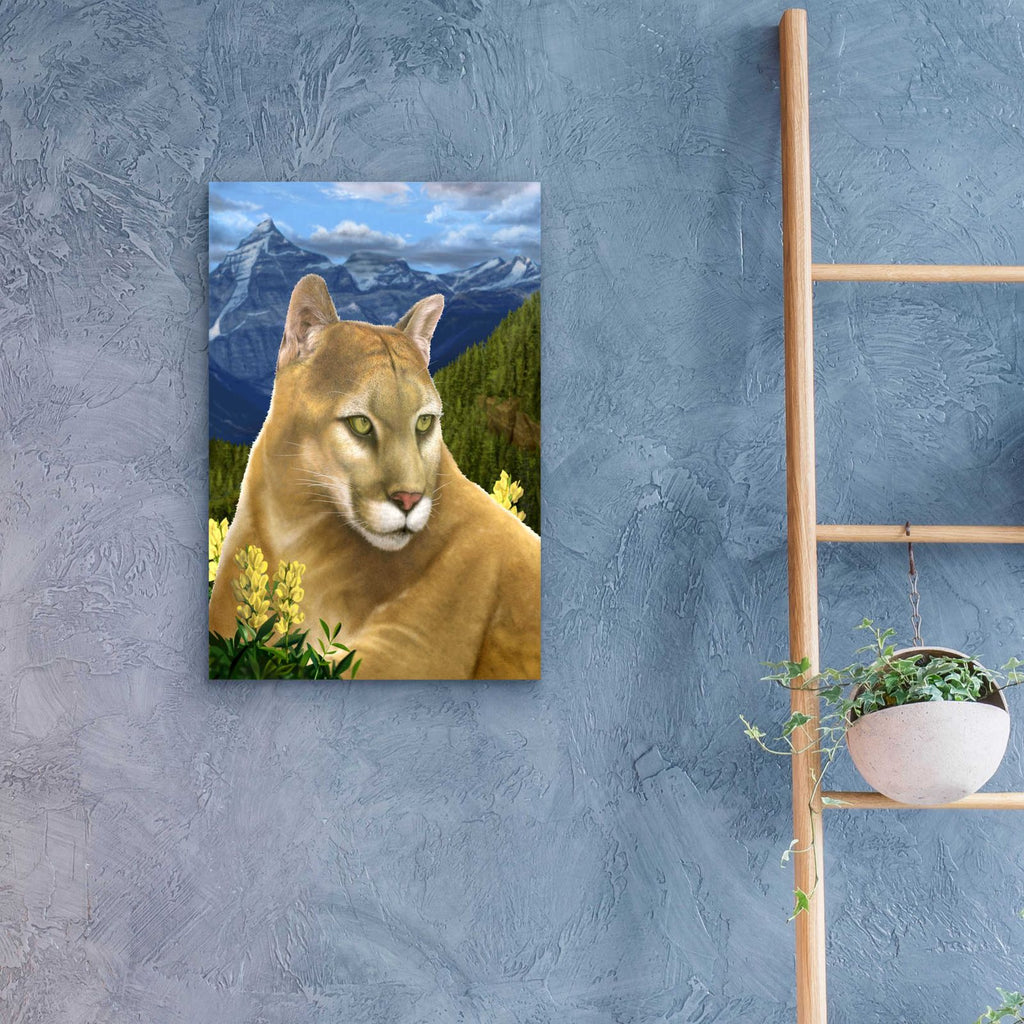 Rockies Mountain Lion by Chris Dobrowolski - 16x24 acrylic wall art in a room