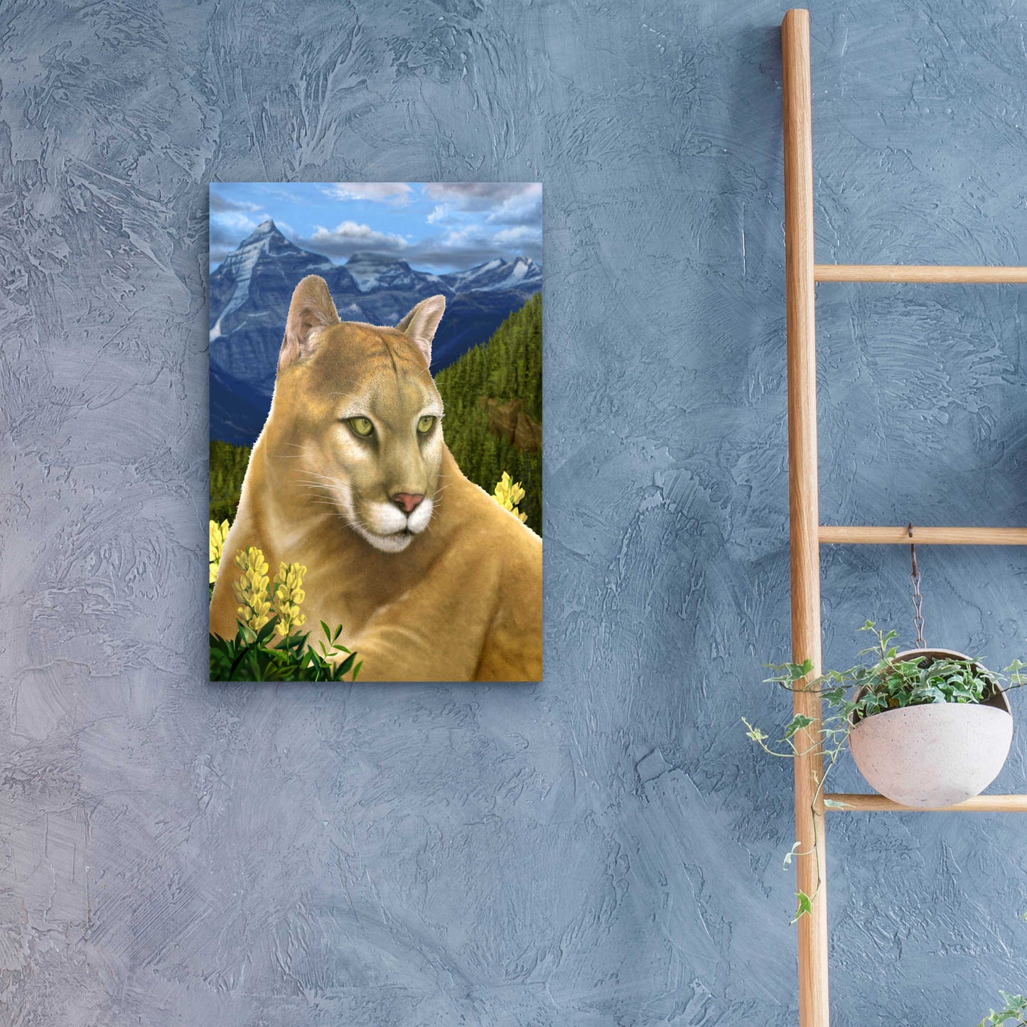 Epic Art 'Rockies Mountain Lion' by Chris Dobrowolski, Acrylic Glass Wall Art,16x24