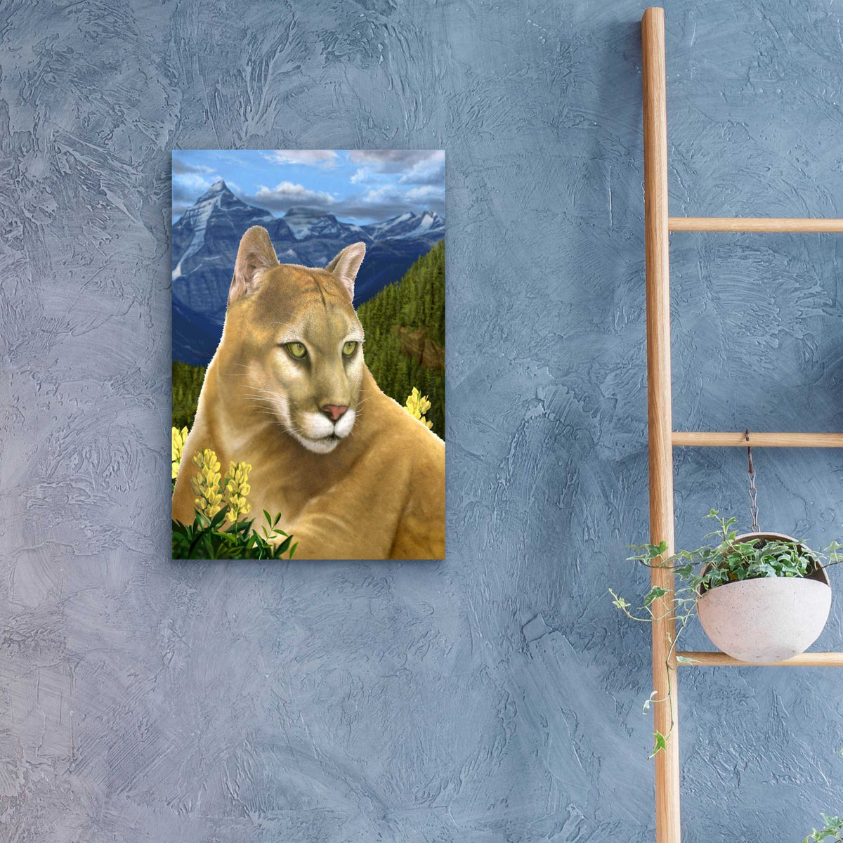 Rockies Mountain Lion by Chris Dobrowolski - 16x24 acrylic wall art in a room