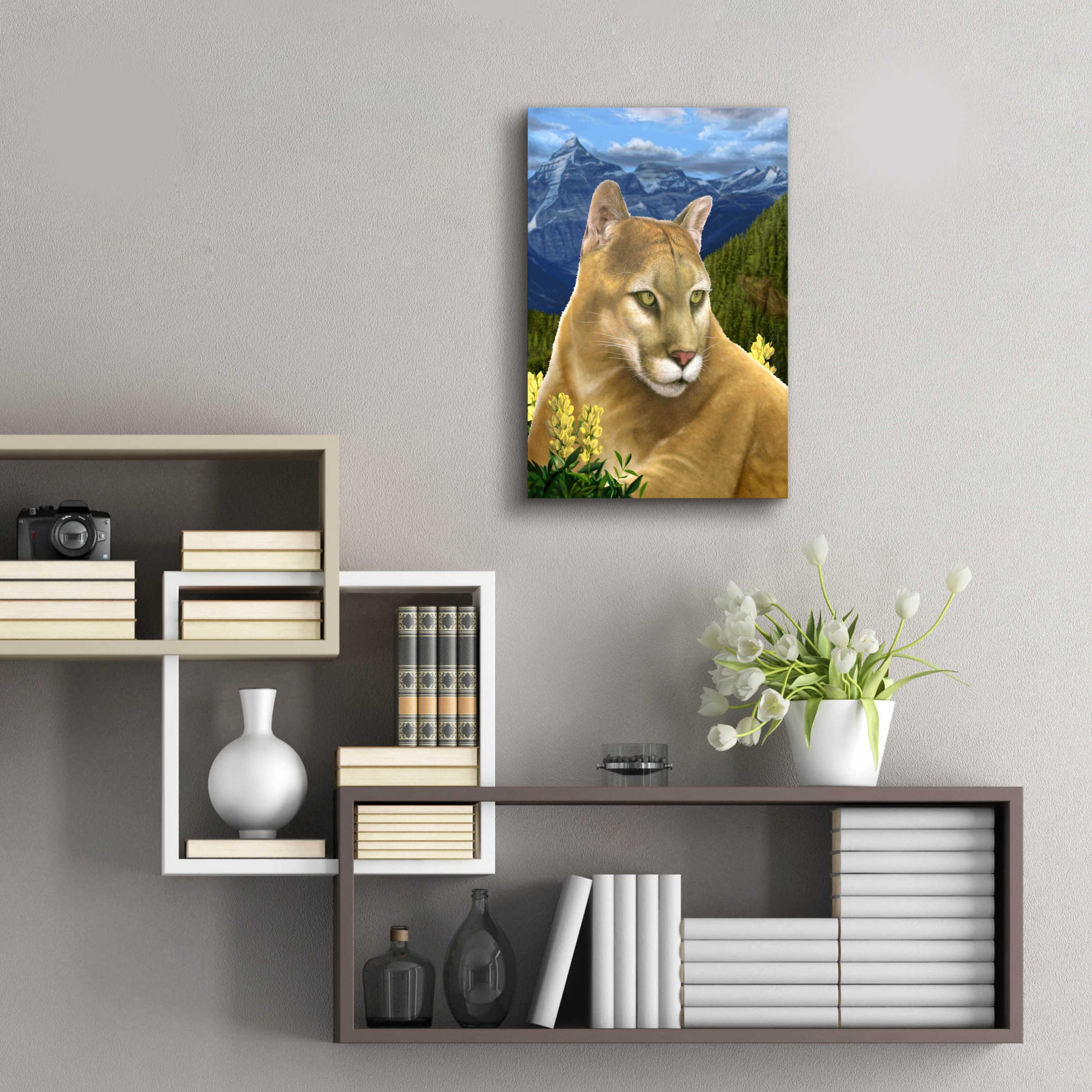 Epic Art 'Rockies Mountain Lion' by Chris Dobrowolski, Acrylic Glass Wall Art,16x24