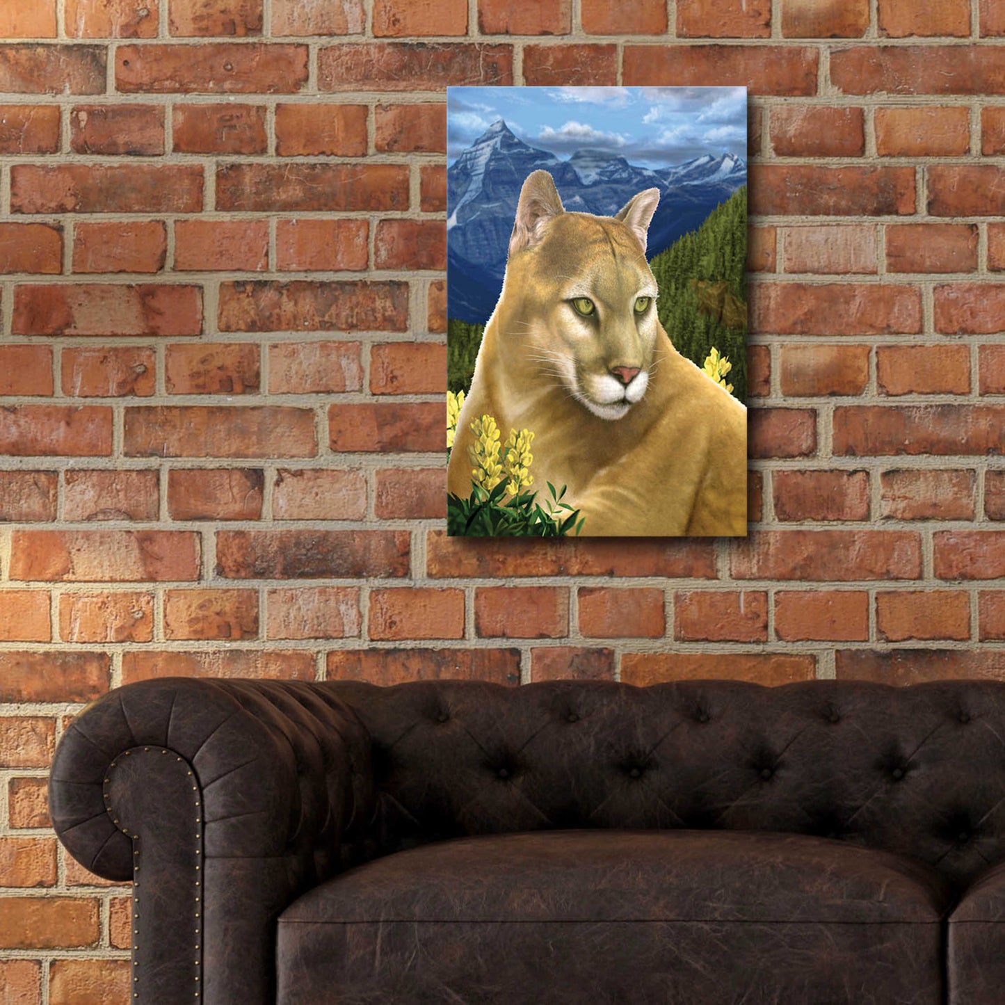 Epic Art 'Rockies Mountain Lion' by Chris Dobrowolski, Acrylic Glass Wall Art,16x24