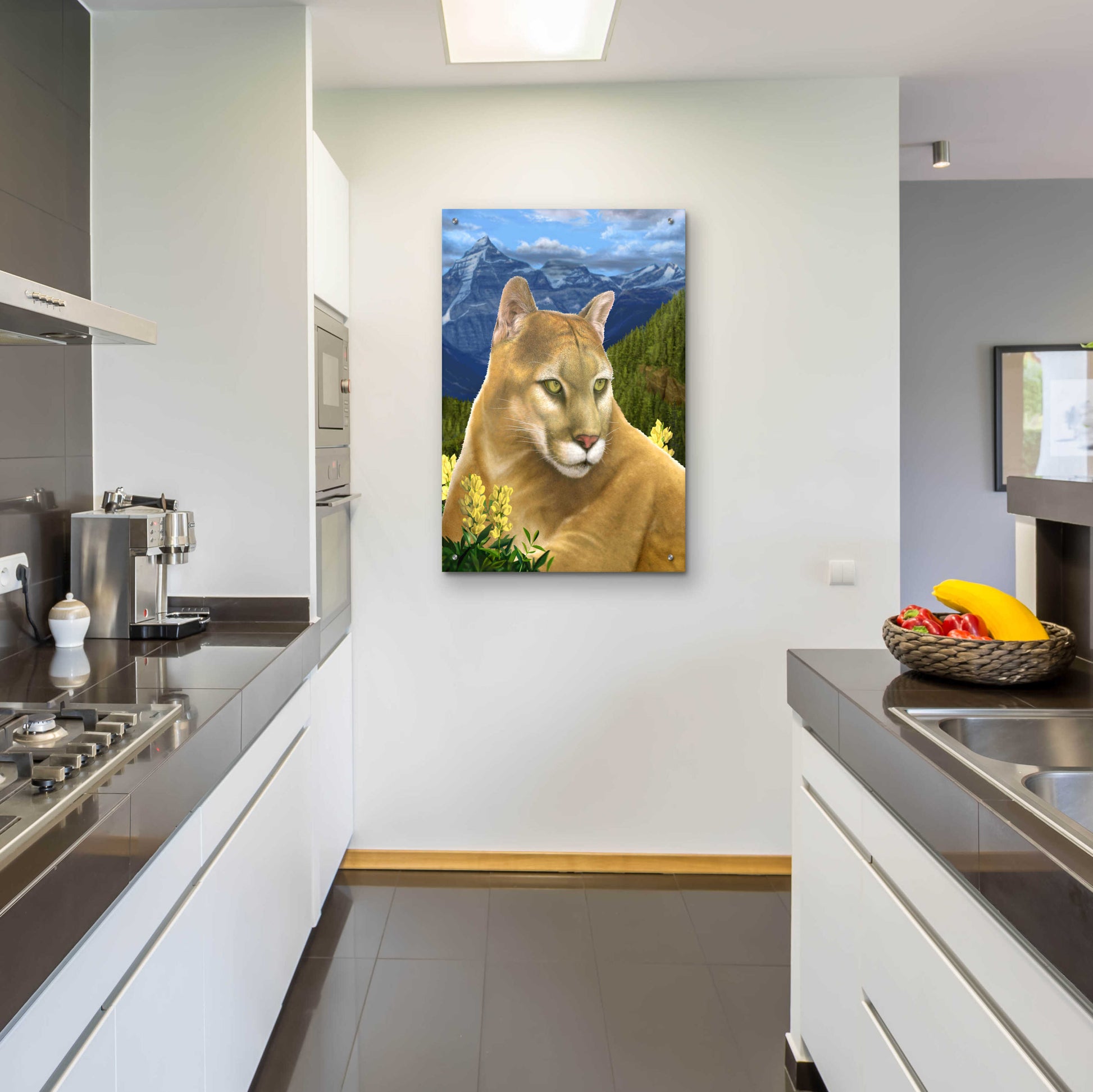 Epic Art 'Rockies Mountain Lion' by Chris Dobrowolski, Acrylic Glass Wall Art,24x36