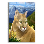 Rockies Mountain Lion by Chris Dobrowolski acrylic glass wall art