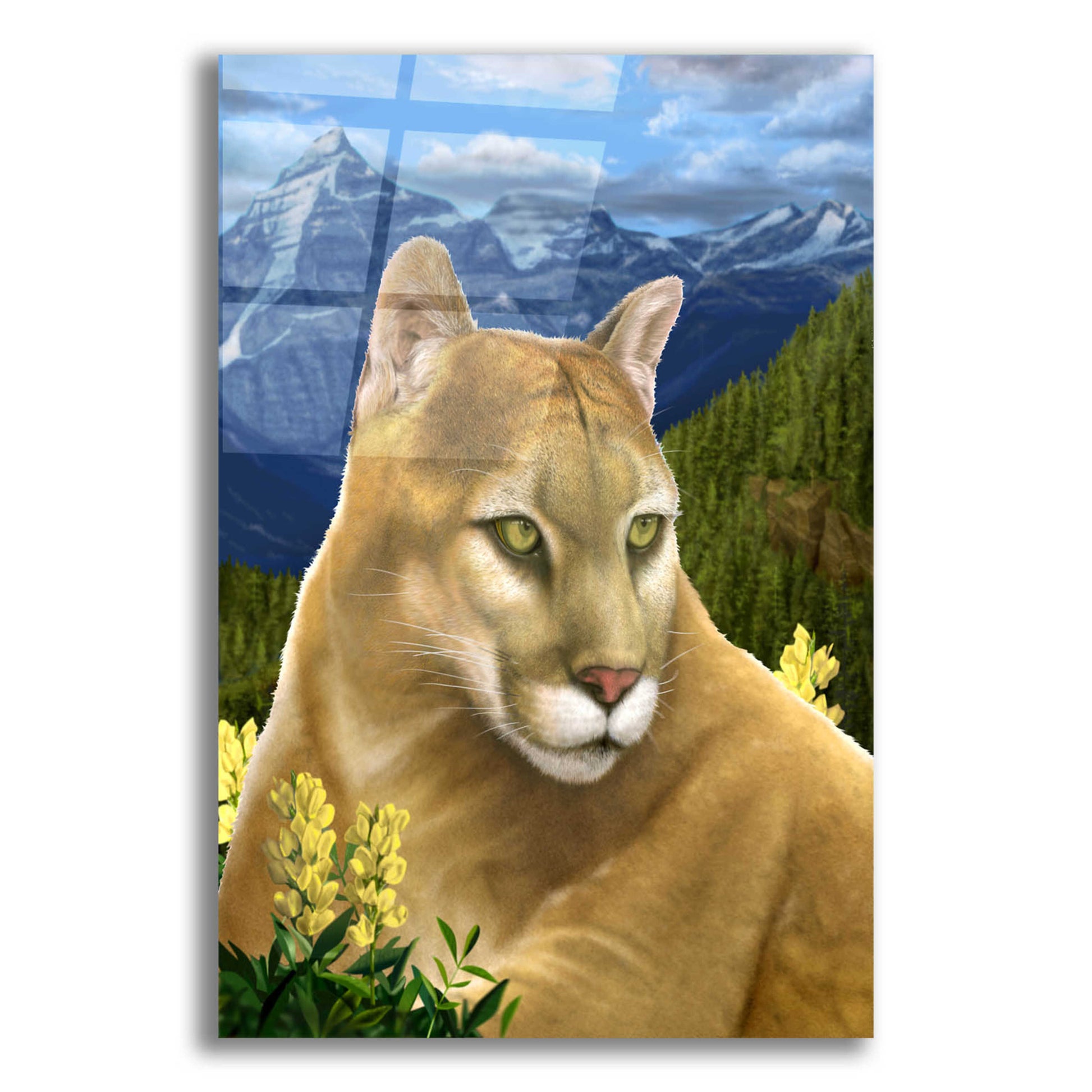 Epic Art 'Rockies Mountain Lion' by Chris Dobrowolski, Acrylic Glass Wall Art