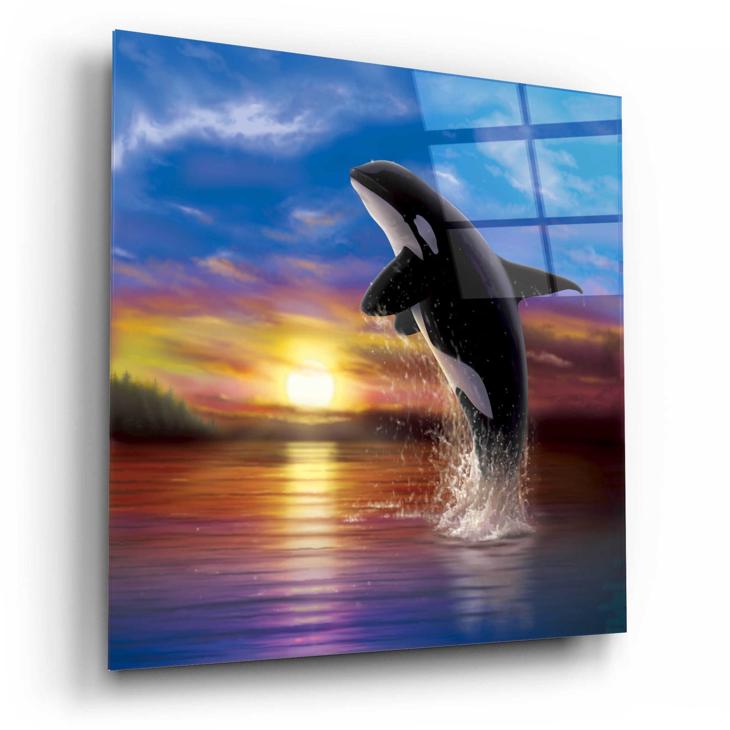 Epic Art 'Orca Sunrise' by Chris Dobrowolski, Acrylic Glass Wall Art,12x12