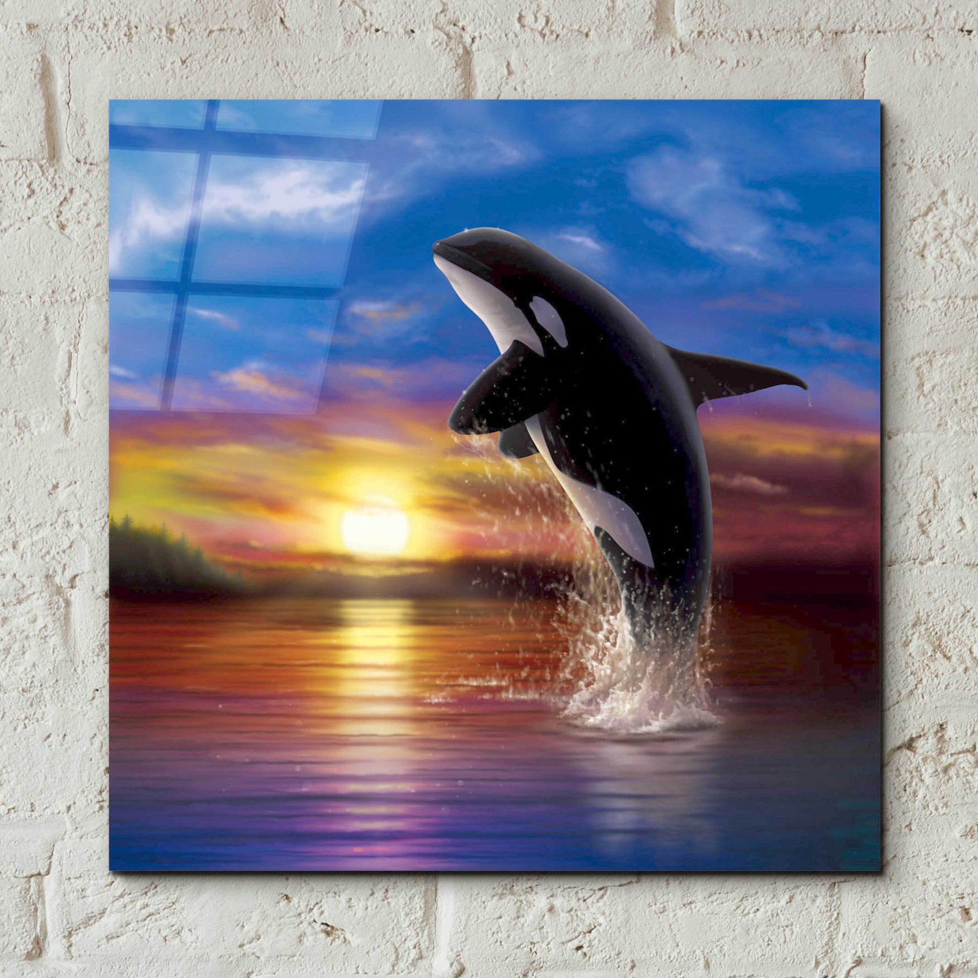 Epic Art 'Orca Sunrise' by Chris Dobrowolski, Acrylic Glass Wall Art,12x12