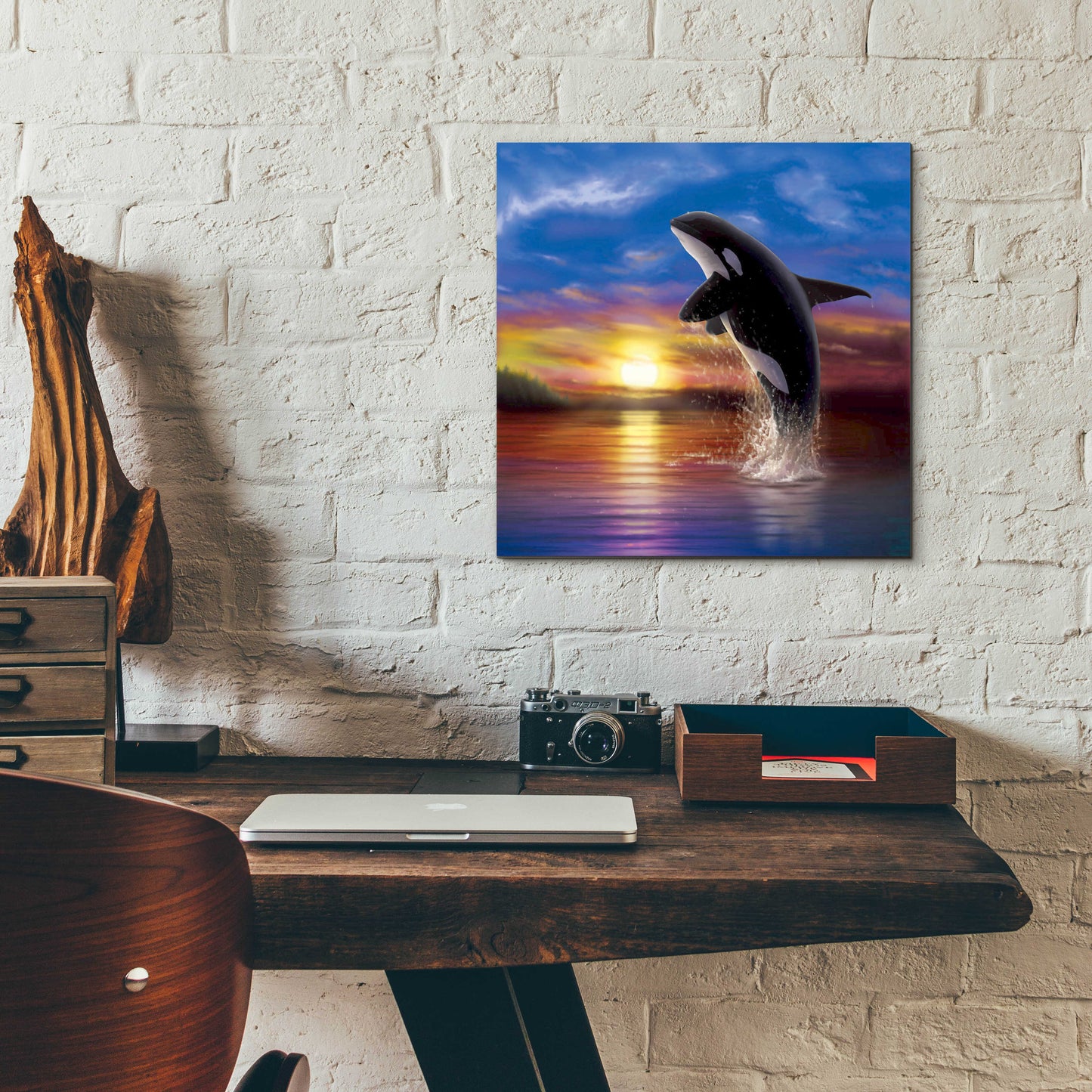 Epic Art 'Orca Sunrise' by Chris Dobrowolski, Acrylic Glass Wall Art,12x12