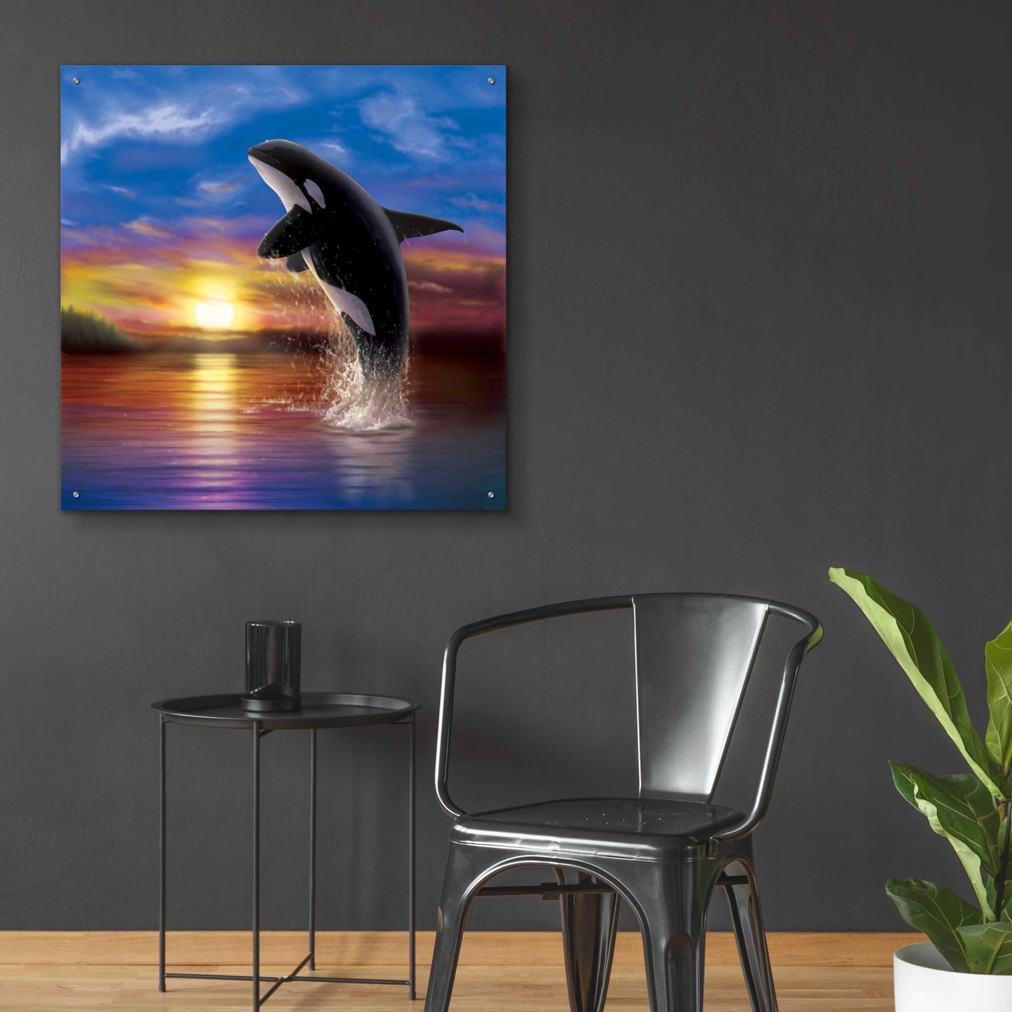 Epic Art 'Orca Sunrise' by Chris Dobrowolski, Acrylic Glass Wall Art,36x36