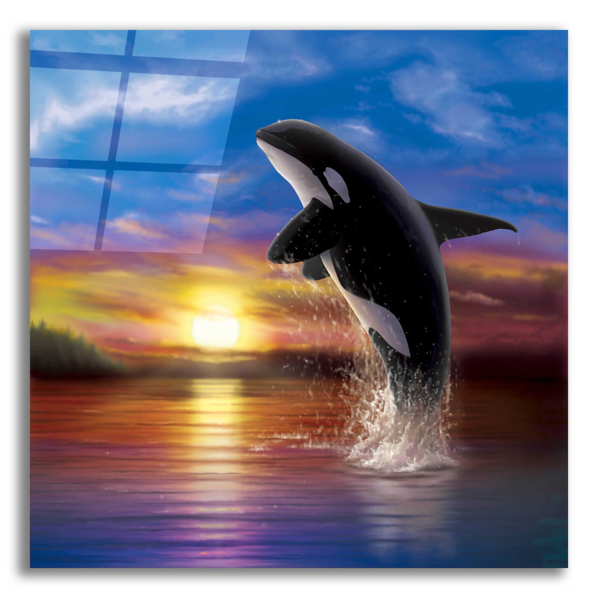 Epic Art 'Orca Sunrise' by Chris Dobrowolski, Acrylic Glass Wall Art