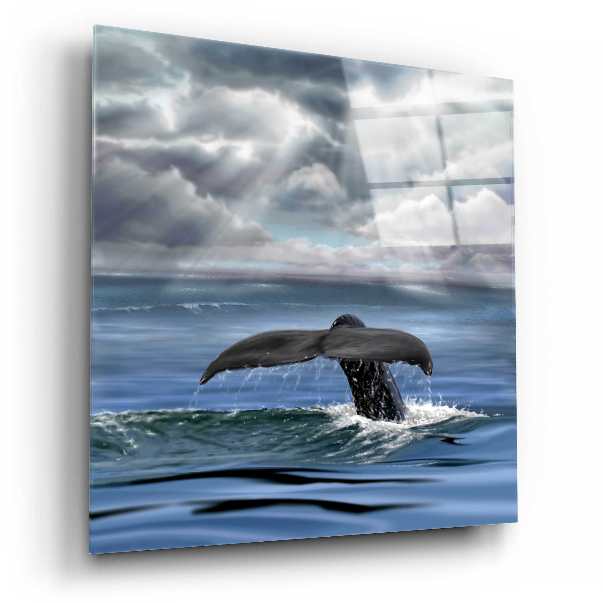 Epic Art 'Whale Fluke' by Chris Dobrowolski, Acrylic Glass Wall Art,12x12